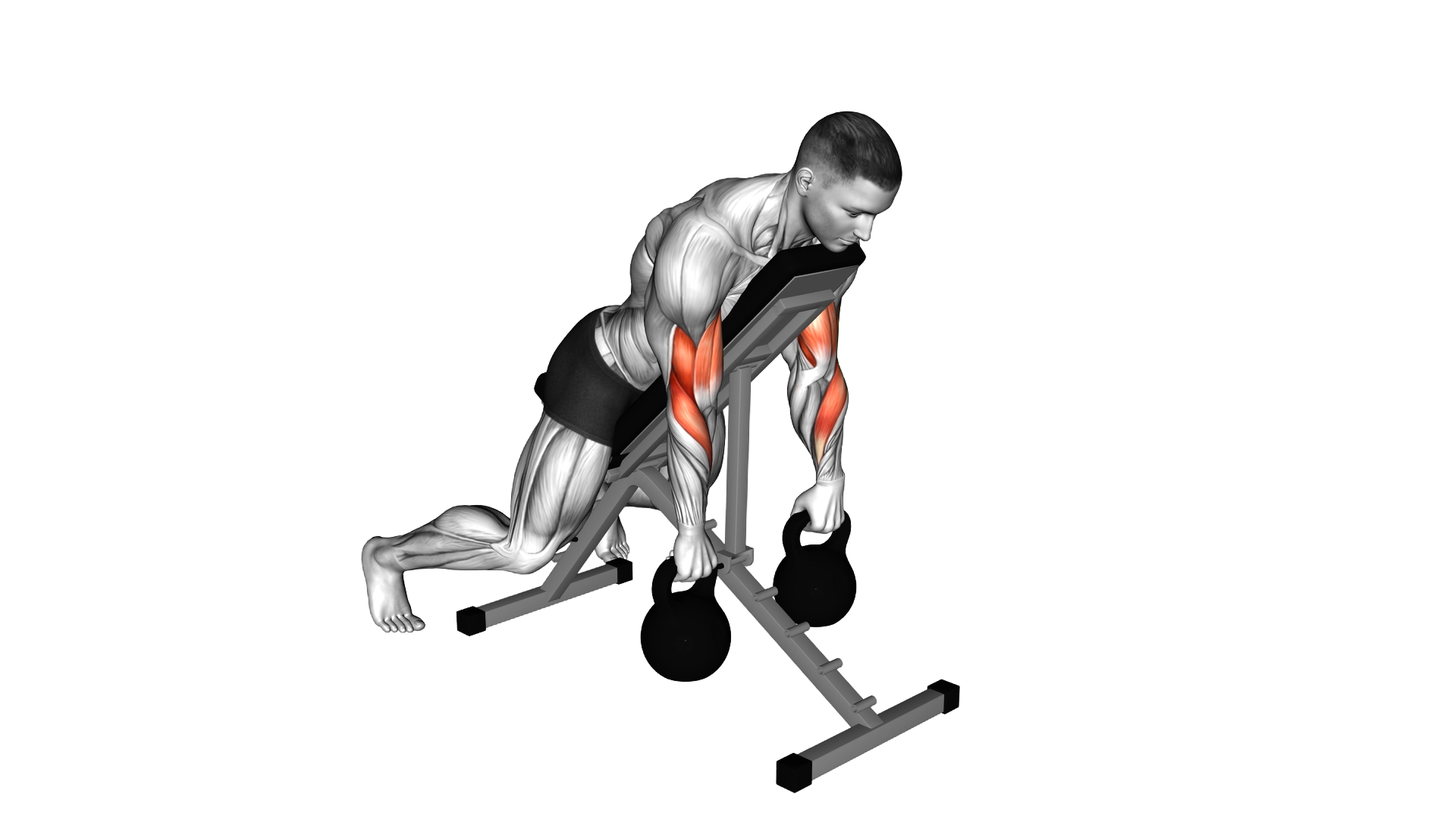 Kettlebell Reverse Spider Curl exercise demonstration