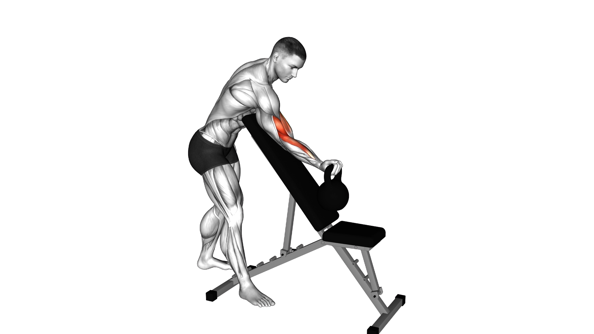 Kettlebell Standing One Arm Curl Over Incline Benc exercise demonstration