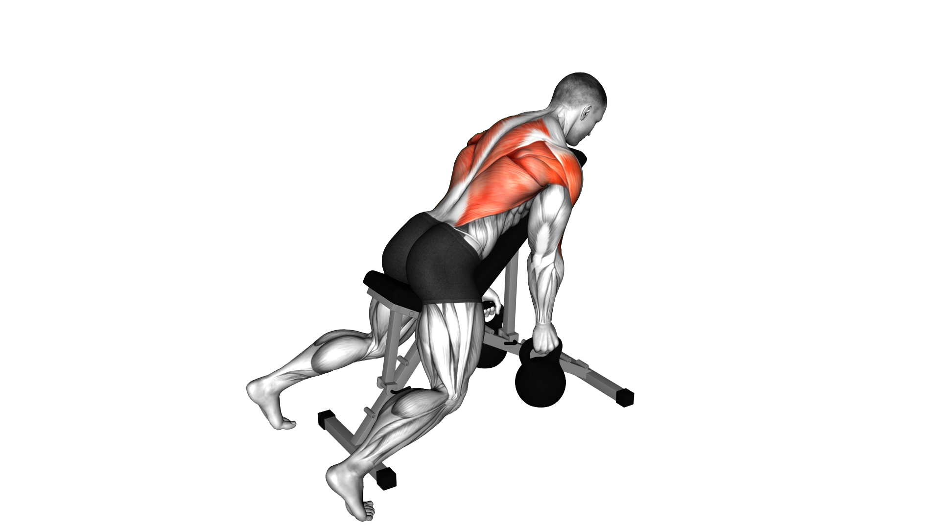 Kettlebell Hammer Grip Incline Bench Two Arm Row exercise demonstration
