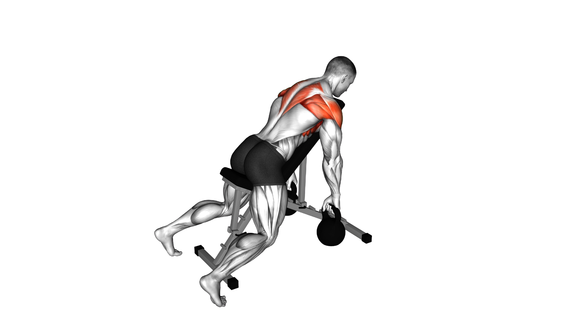 Kettlebell Incline Y Raise exercise demonstration