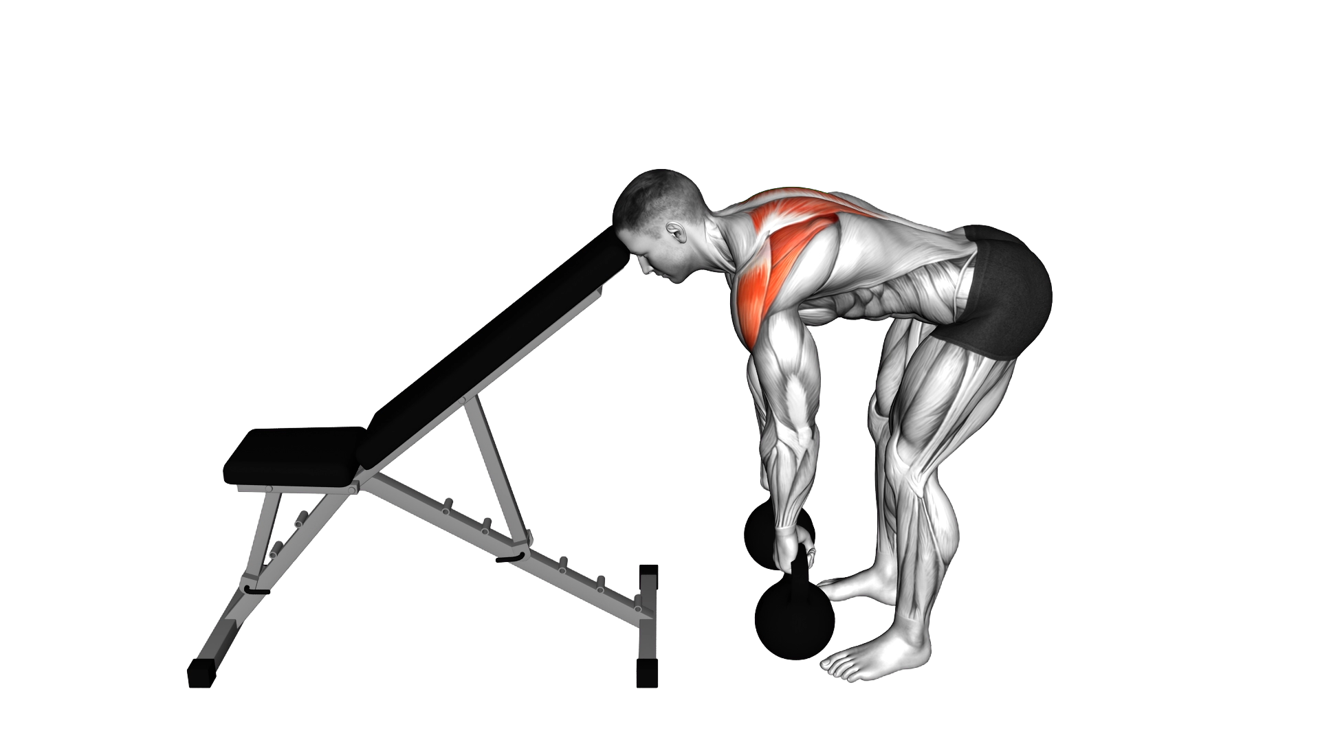 Kettlebell Head Supported Row exercise demonstration