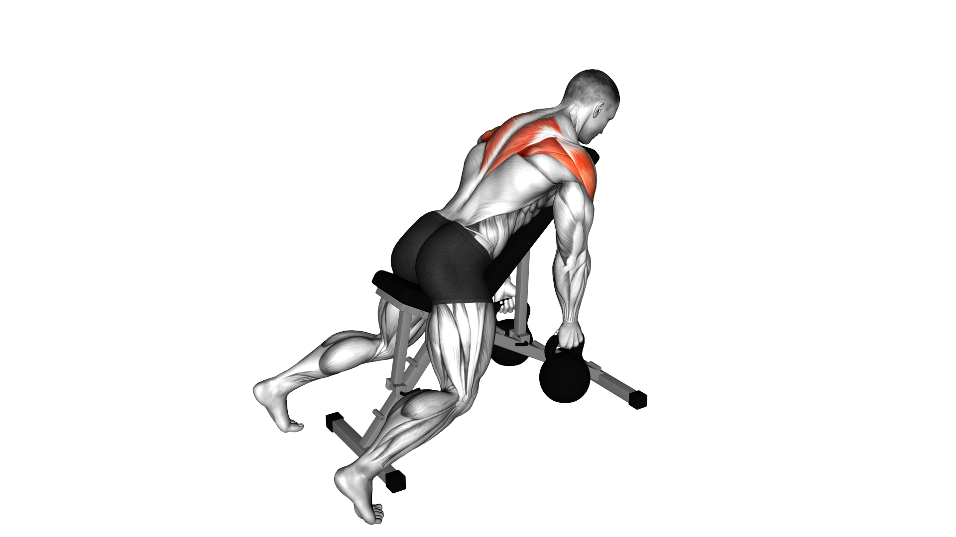 Kettlebell Prone Rear Delt Swing exercise demonstration