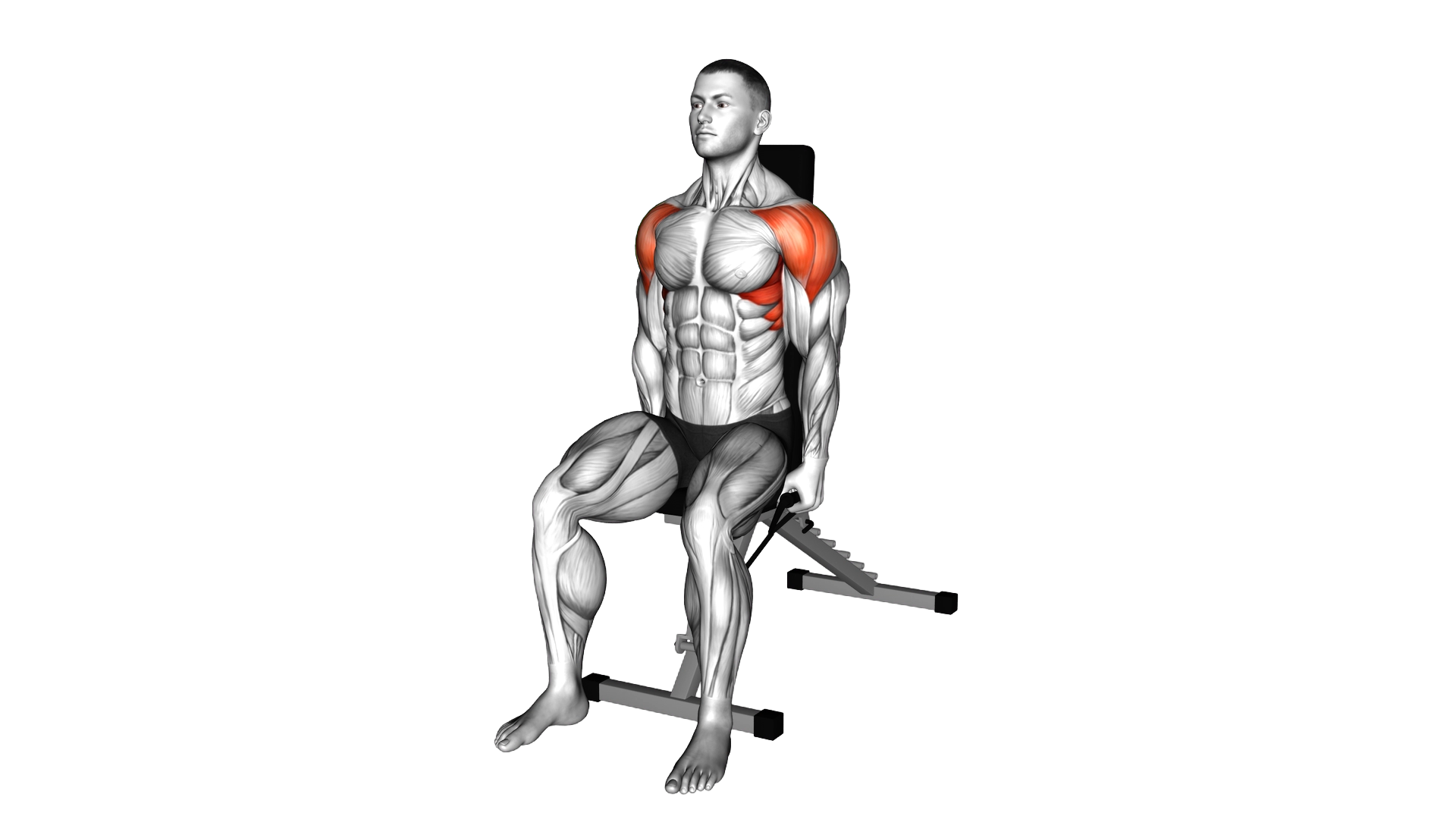 Band Seated Lateral Raise exercise demonstration
