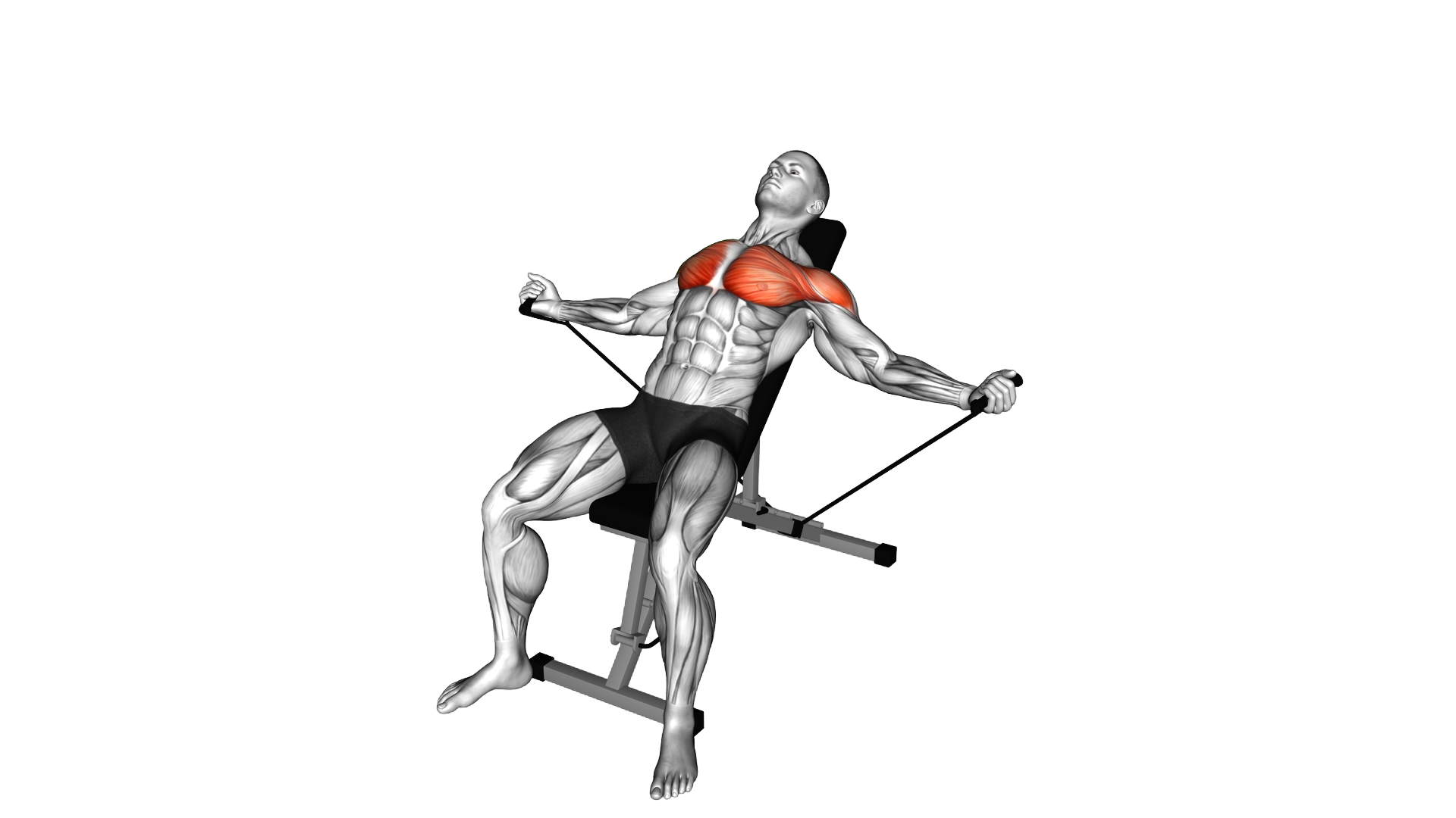 Band Incline Fly exercise demonstration