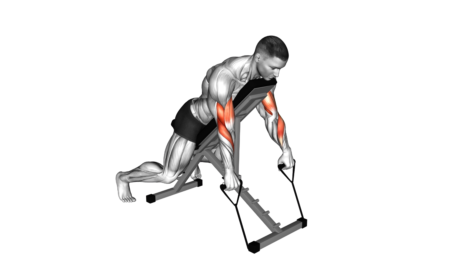 Band Reverse Spider Curl exercise demonstration