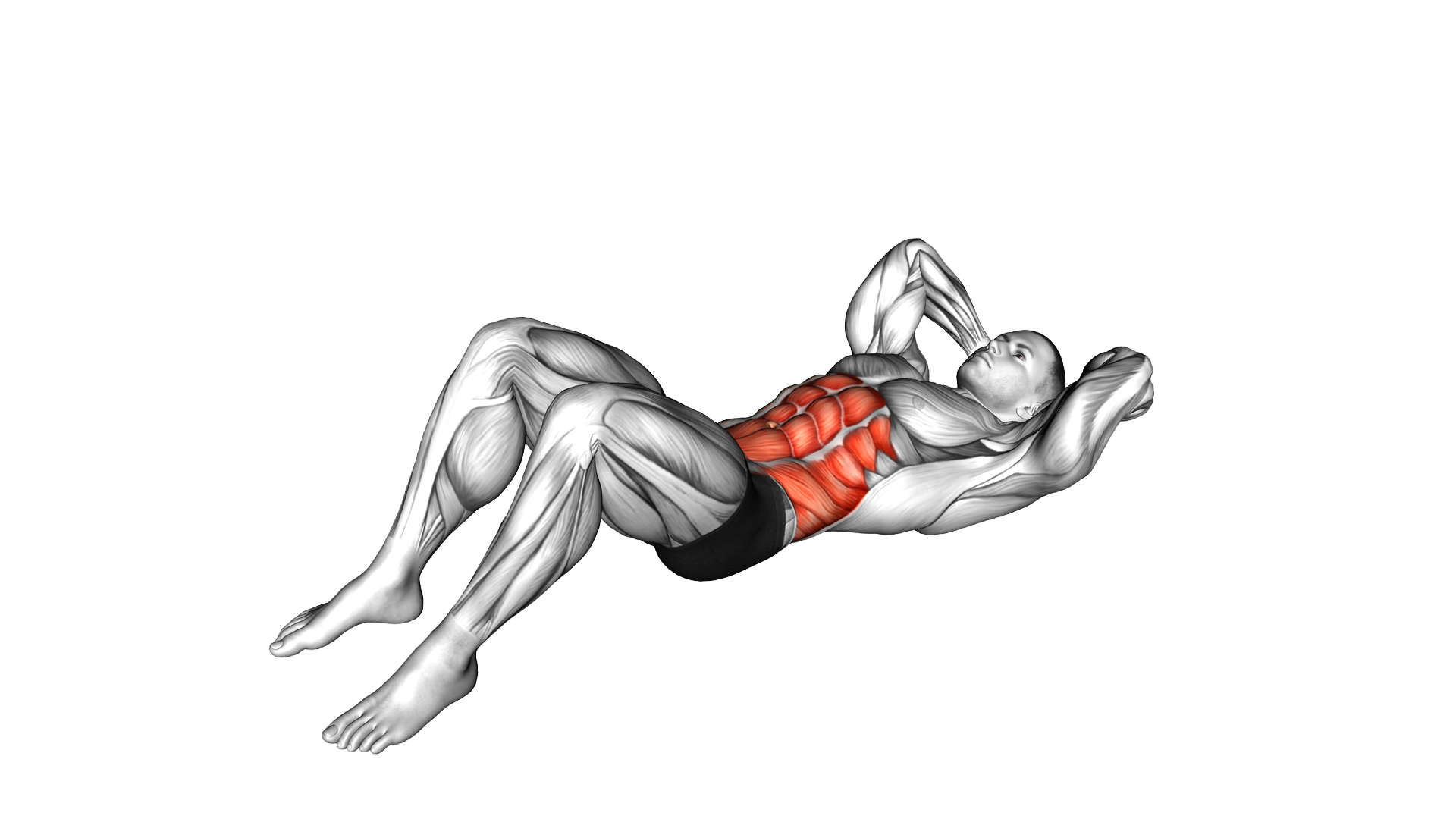 Negative Crunch exercise demonstration