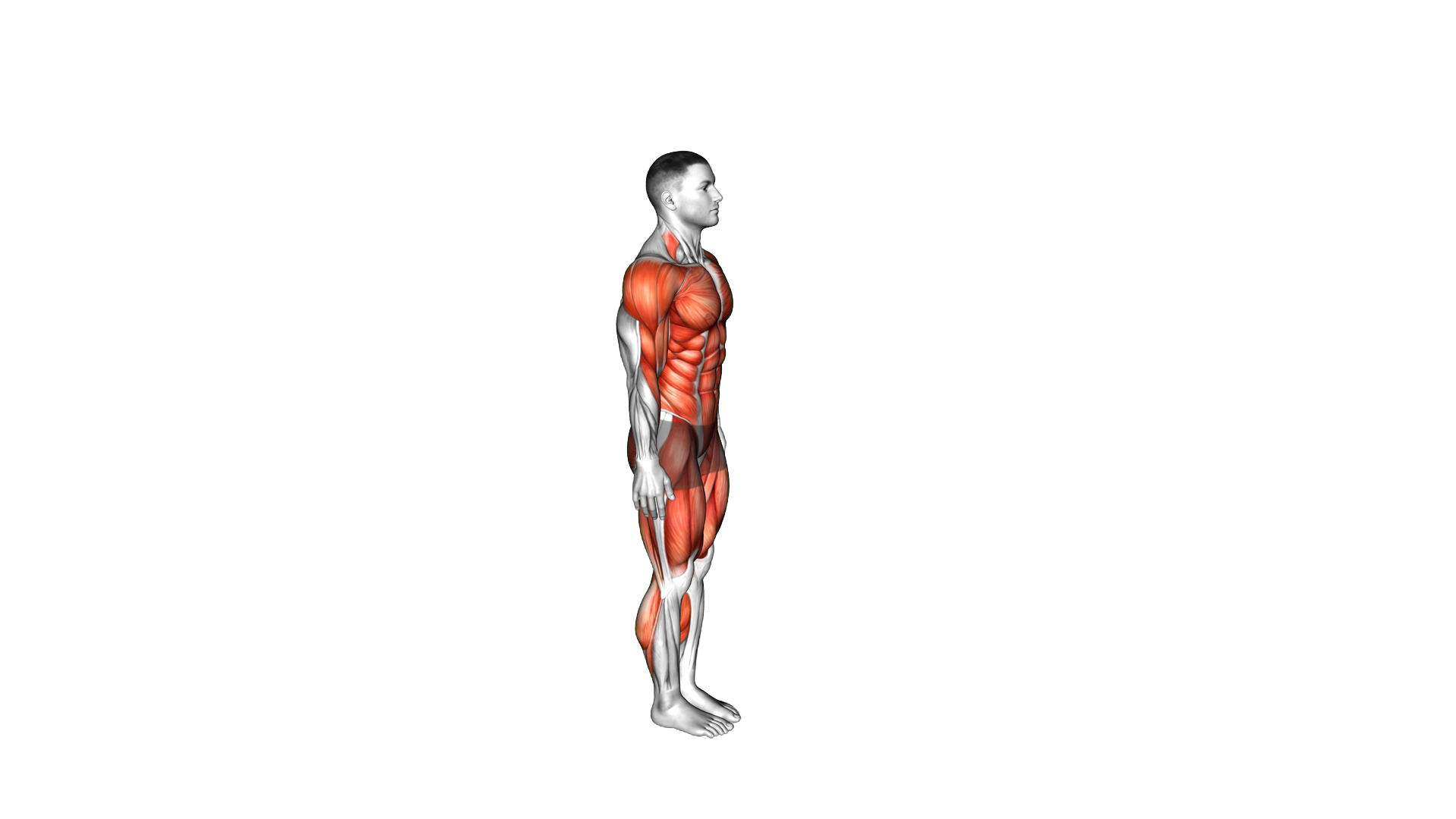 Burpee Tuck Jump exercise demonstration
