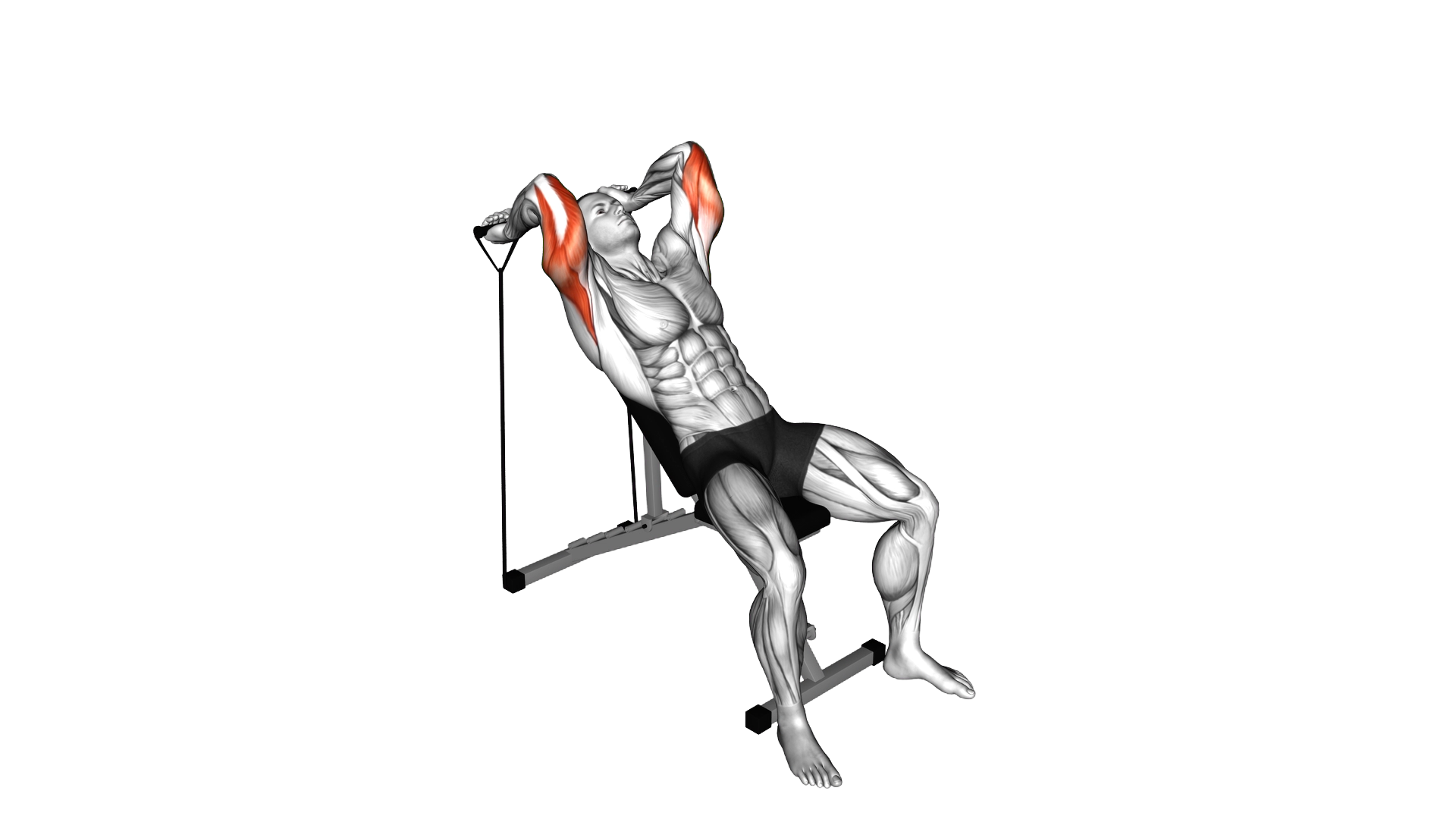 Band Incline Triceps Extension exercise demonstration