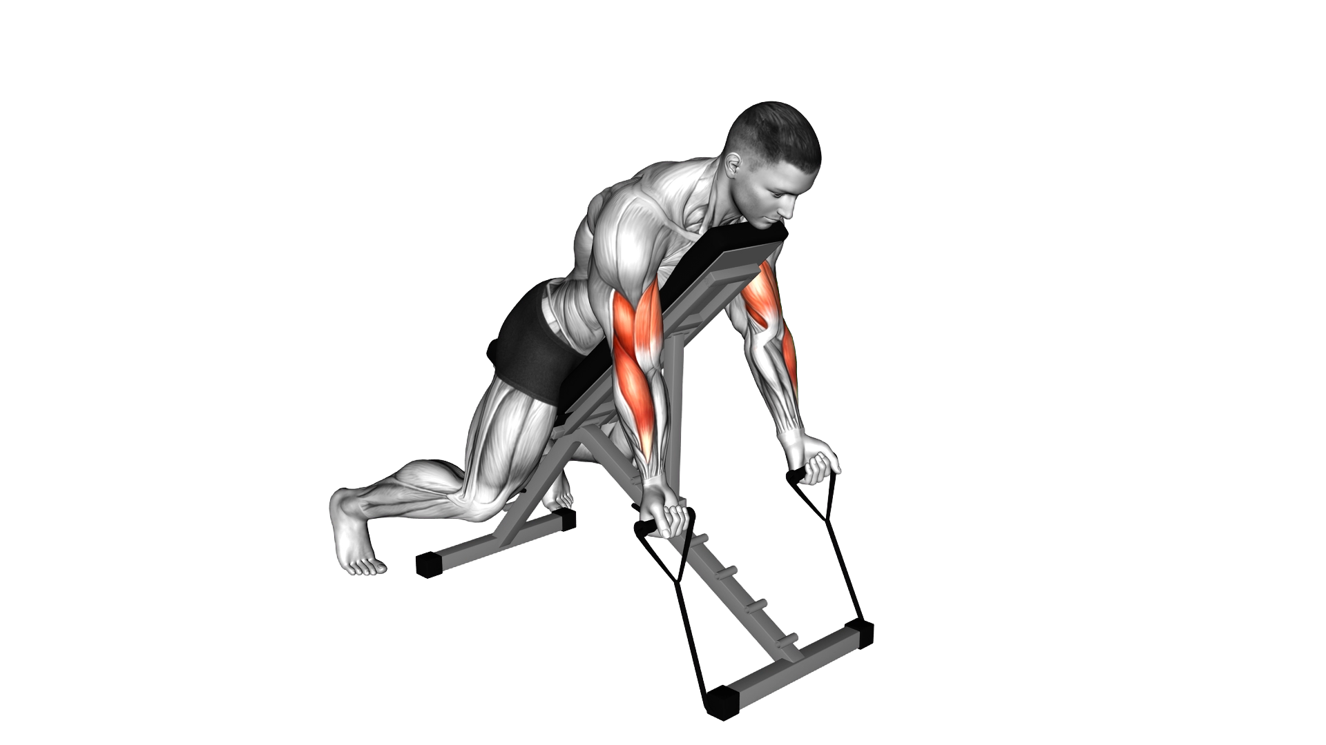 Band Prone Incline Curl exercise demonstration