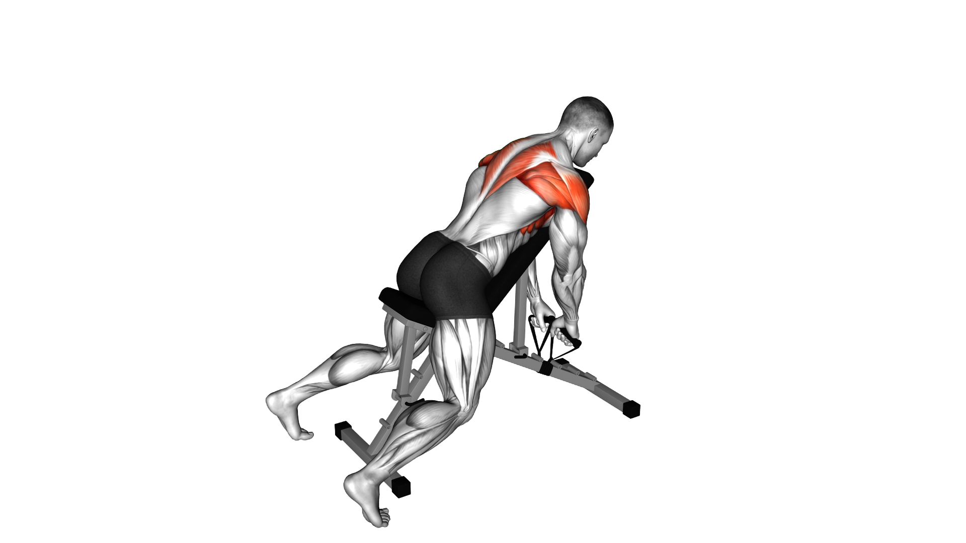 Band Incline Y Raise exercise demonstration