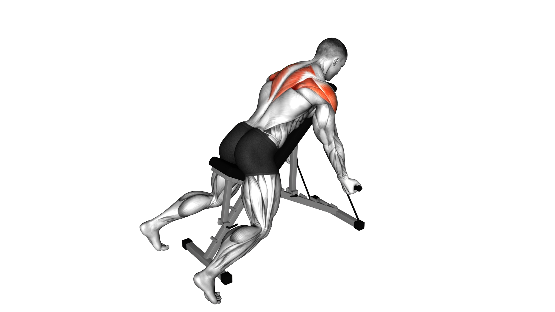 Band Incline T Raise exercise demonstration