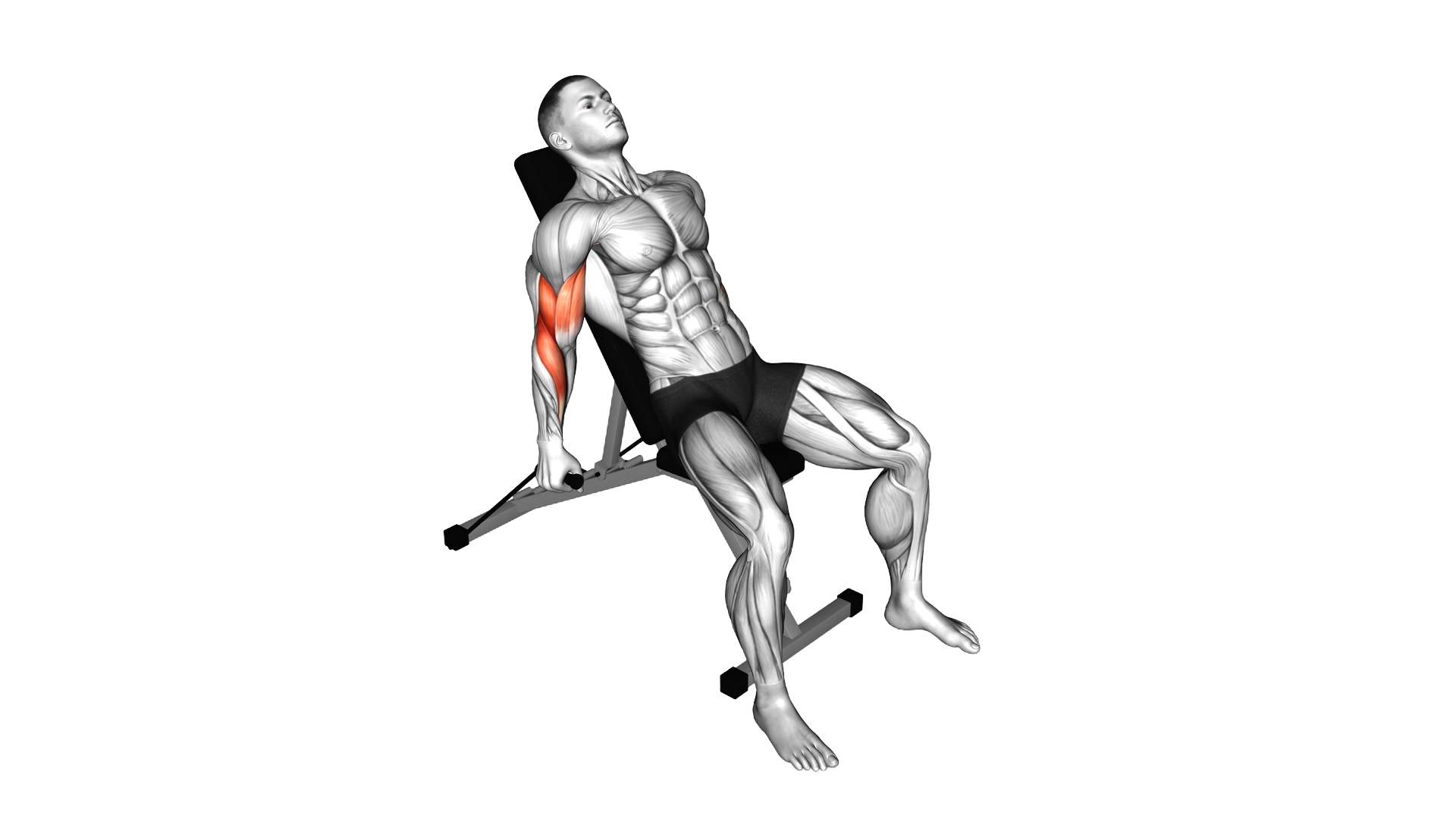 Band Incline Alternate Hammer Curl exercise demonstration