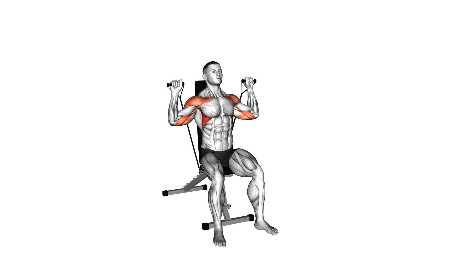 Band Seated Shoulder Press exercise demonstration