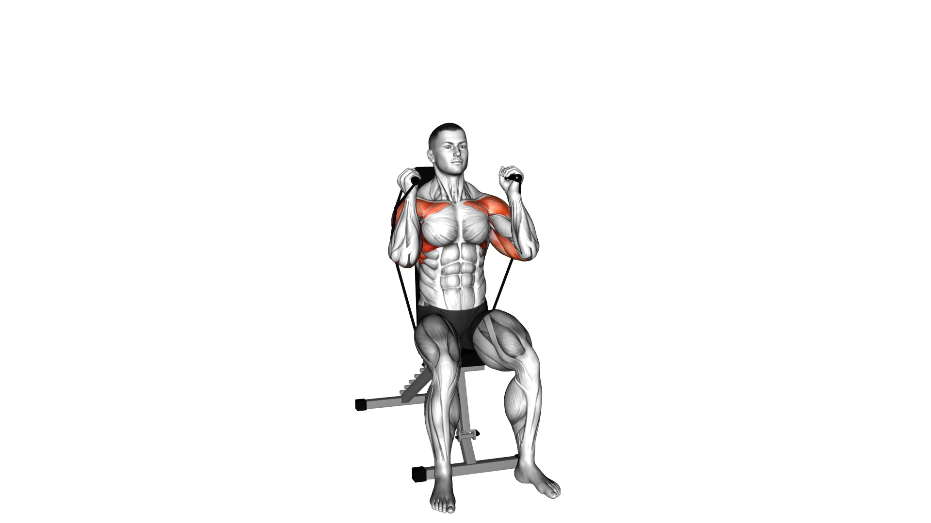Band Seated Neutral Grip Shoulders Press exercise demonstration