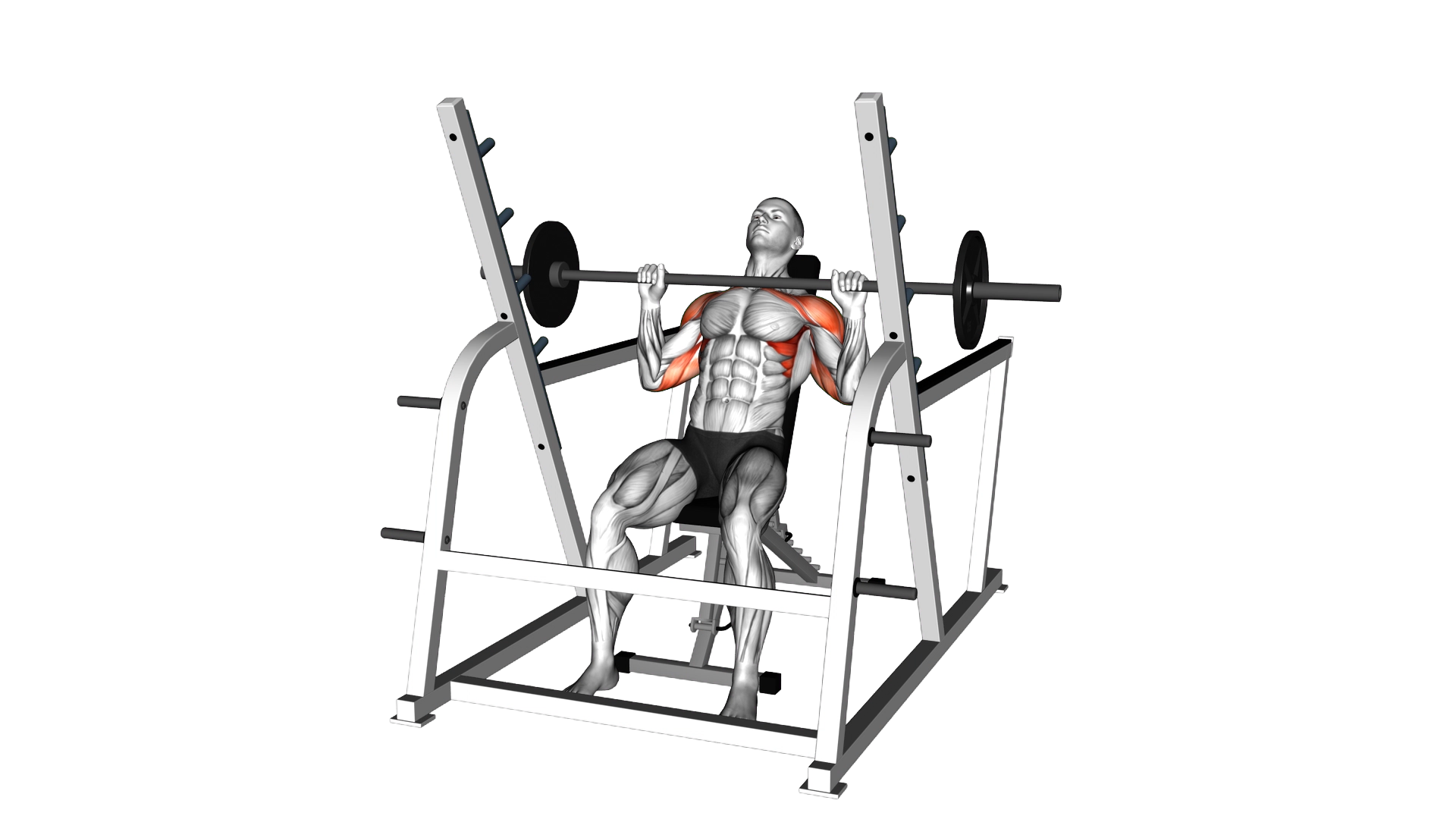 Barbell Incline Shoulders Press (inside squat cage exercise demonstration