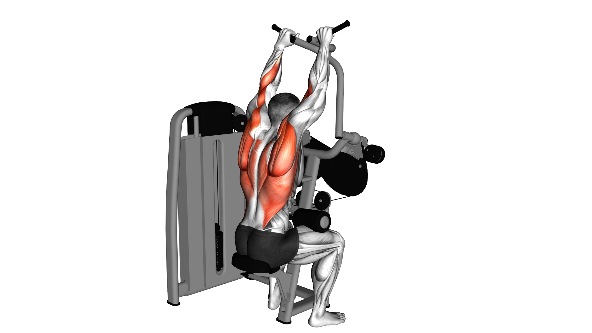Lever Cross Lat Pulldown exercise demonstration