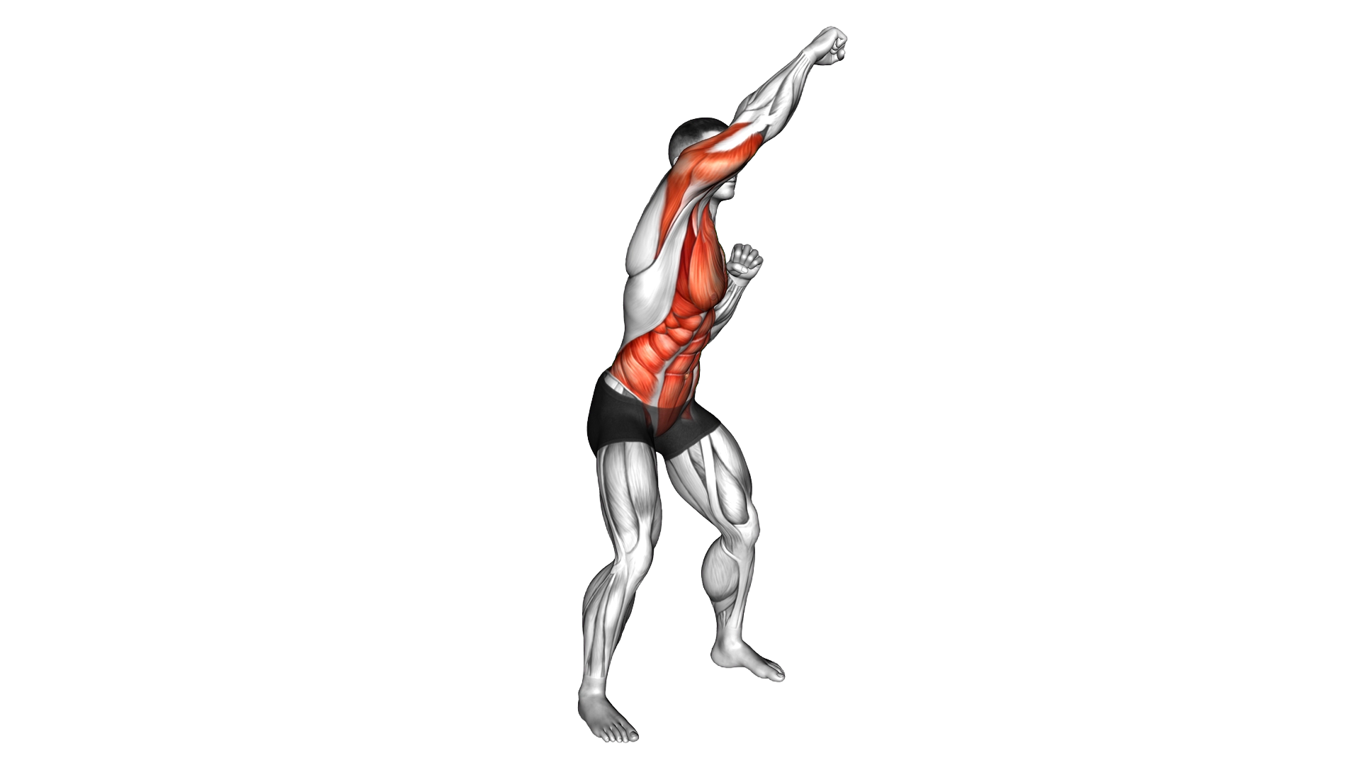 Standing Top Corner Punch exercise demonstration