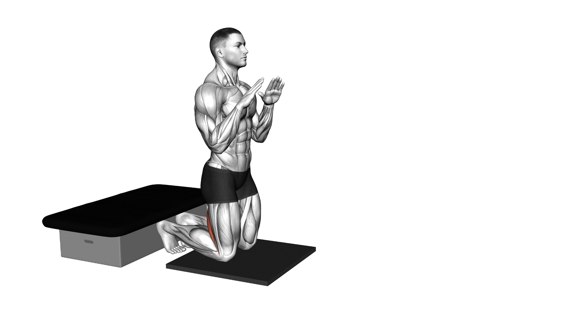 Self Assisted Inverse Leg Curl exercise demonstration