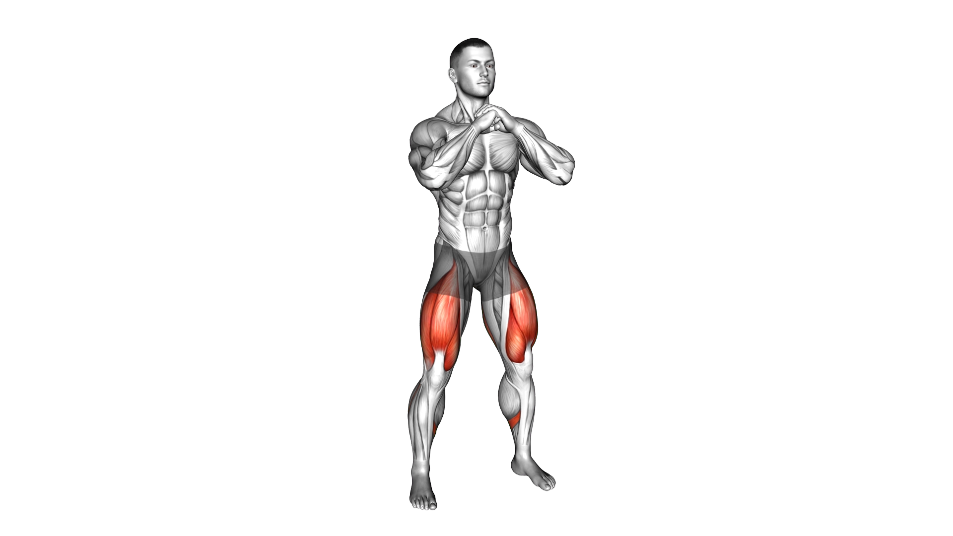 Bodyweight Paused Goblet Squat exercise demonstration