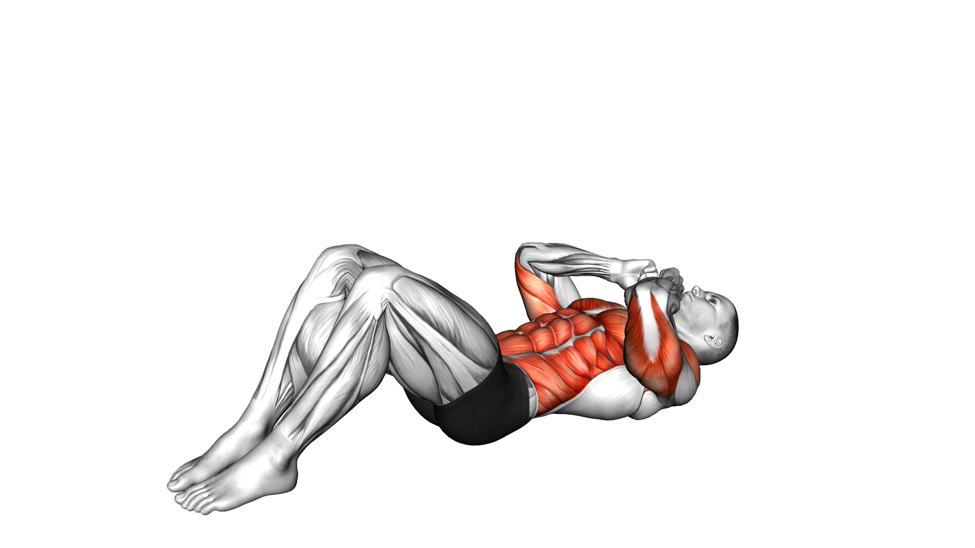 Sit up Punches exercise demonstration
