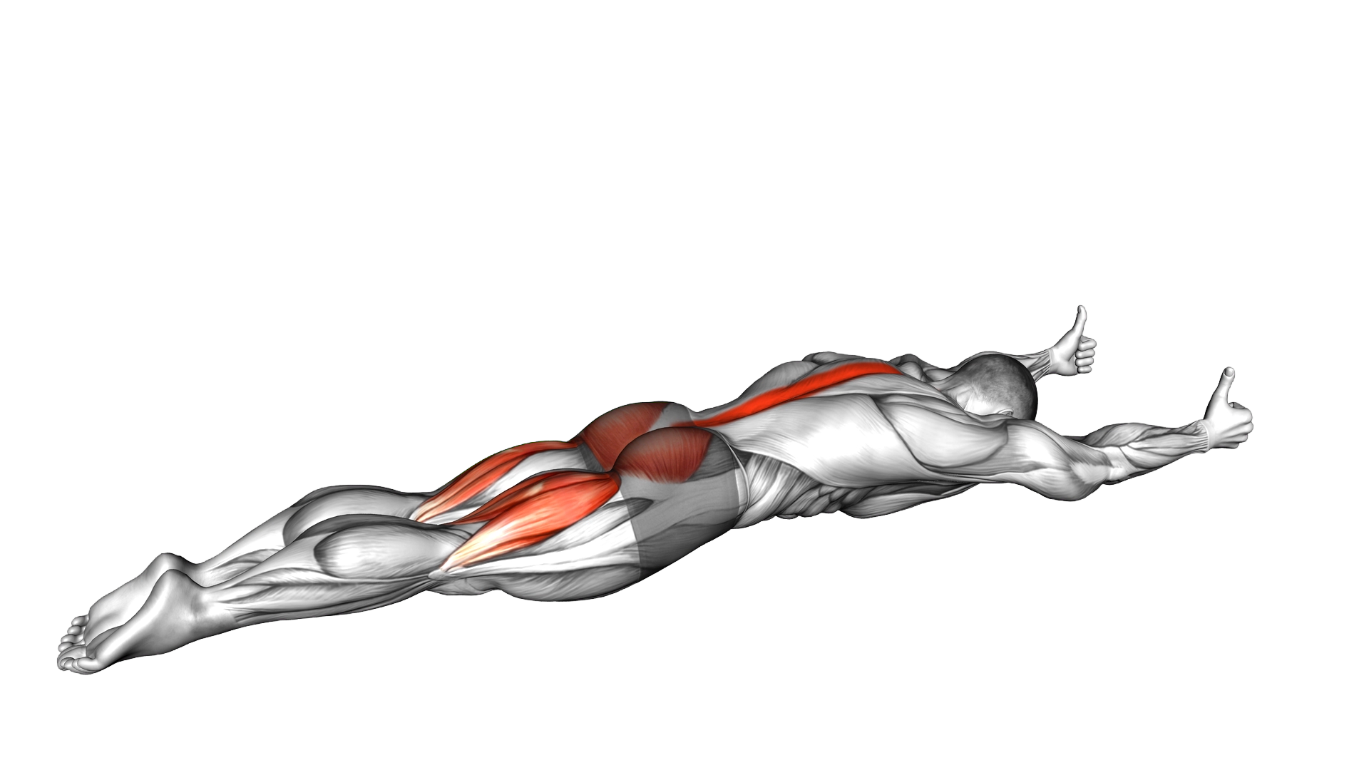Superman Hold exercise demonstration