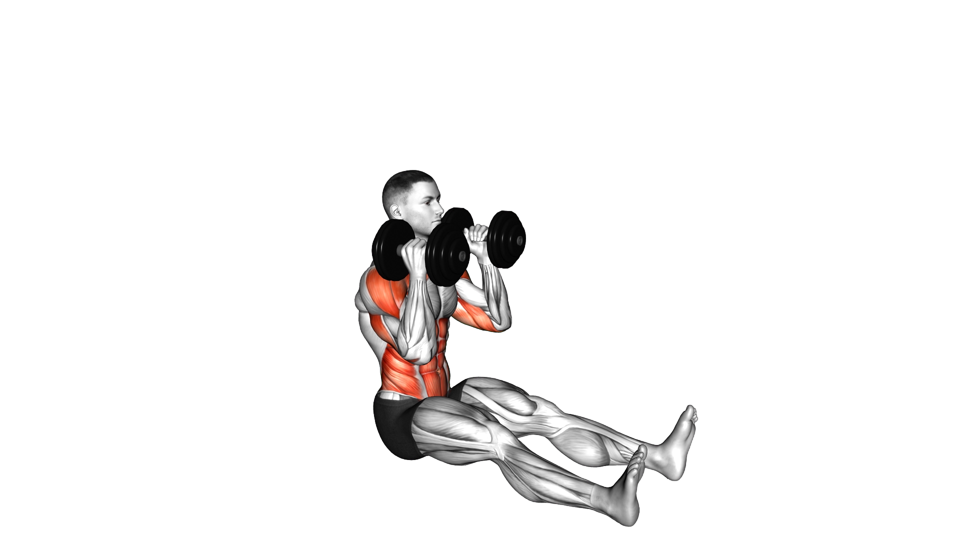 Dumbbell Z Press exercise demonstration