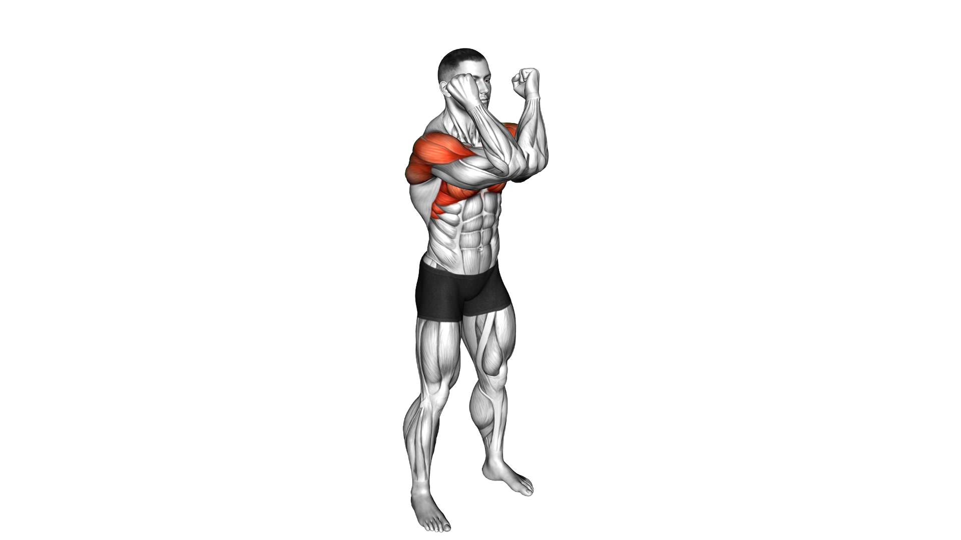 Elbow Touch and Lift exercise demonstration