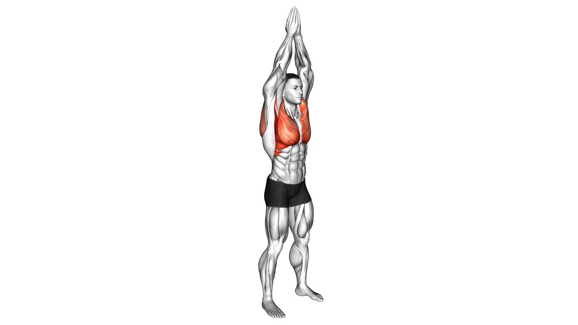 Standing Top Clap Back Clap exercise demonstration