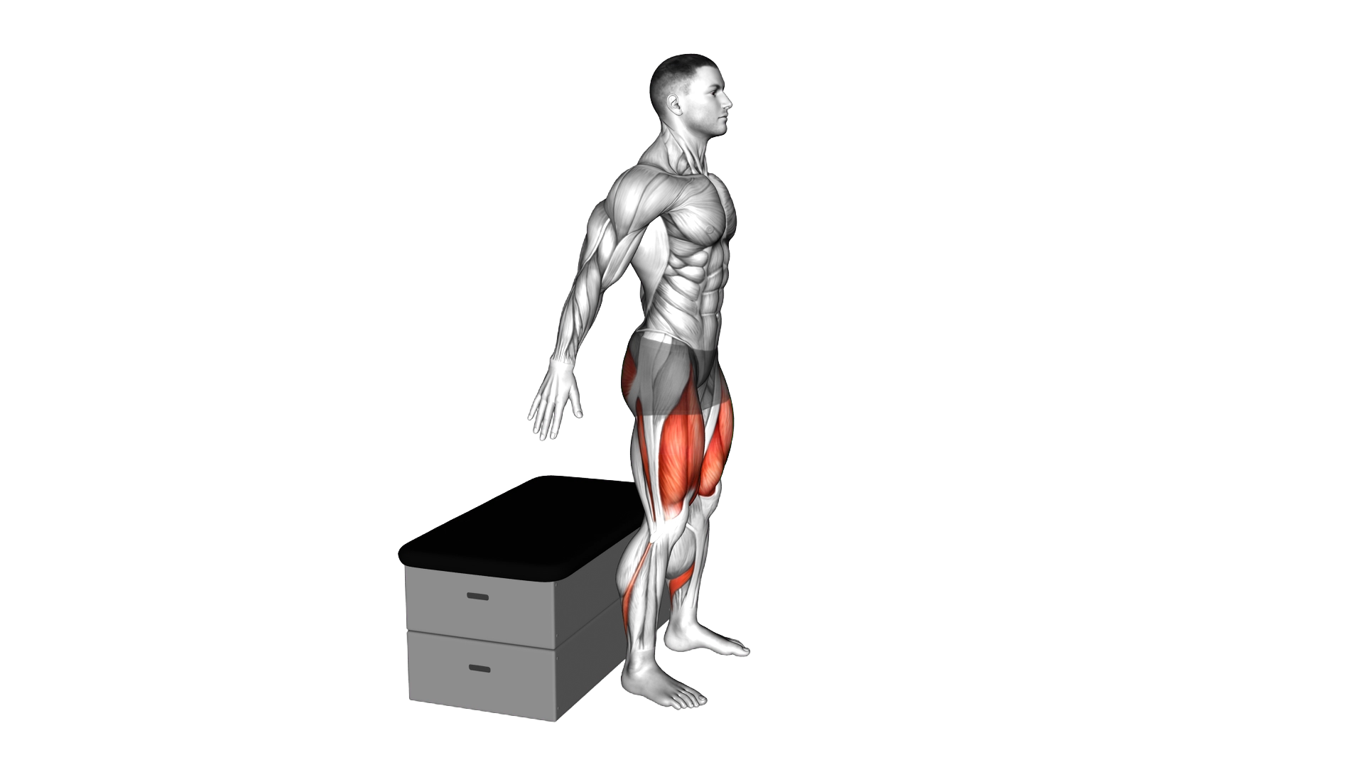 Squat on a padded stool exercise demonstration