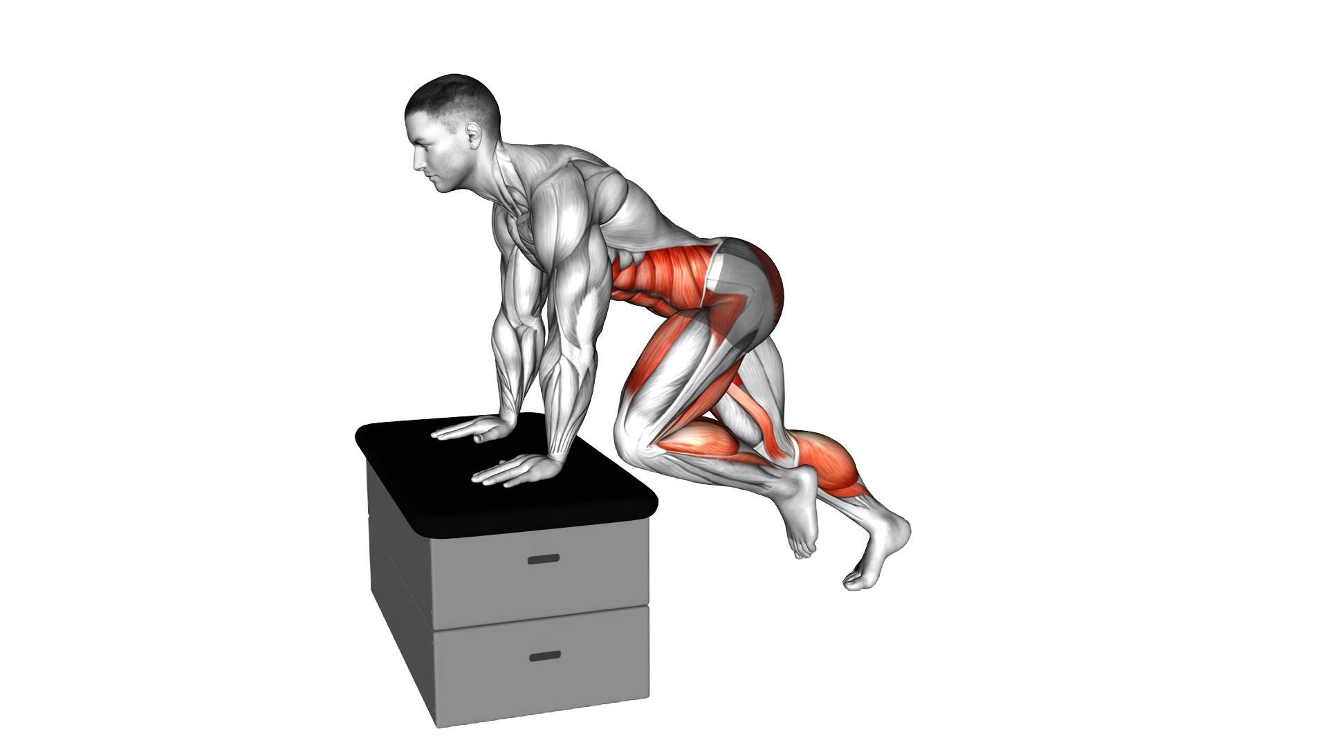 High Knee on a padded stool exercise demonstration