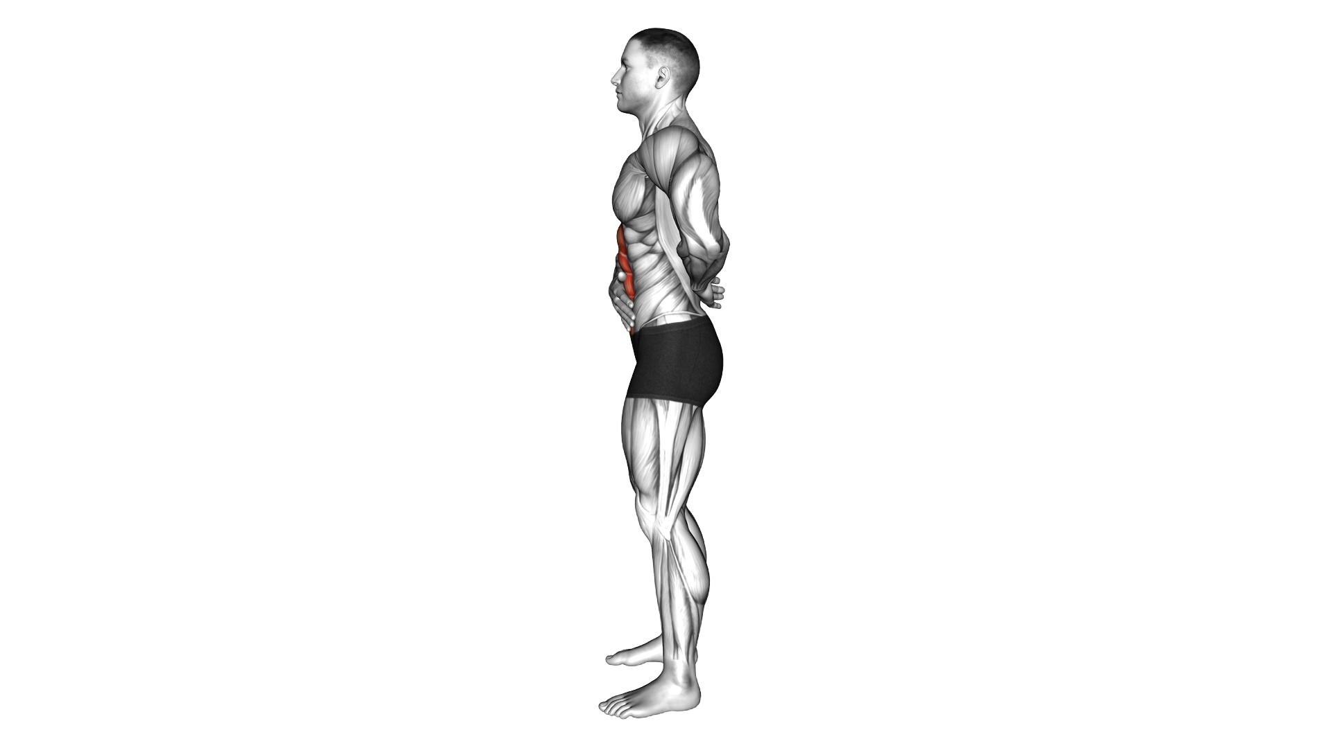 Standing Abdominal Vacuum exercise demonstration