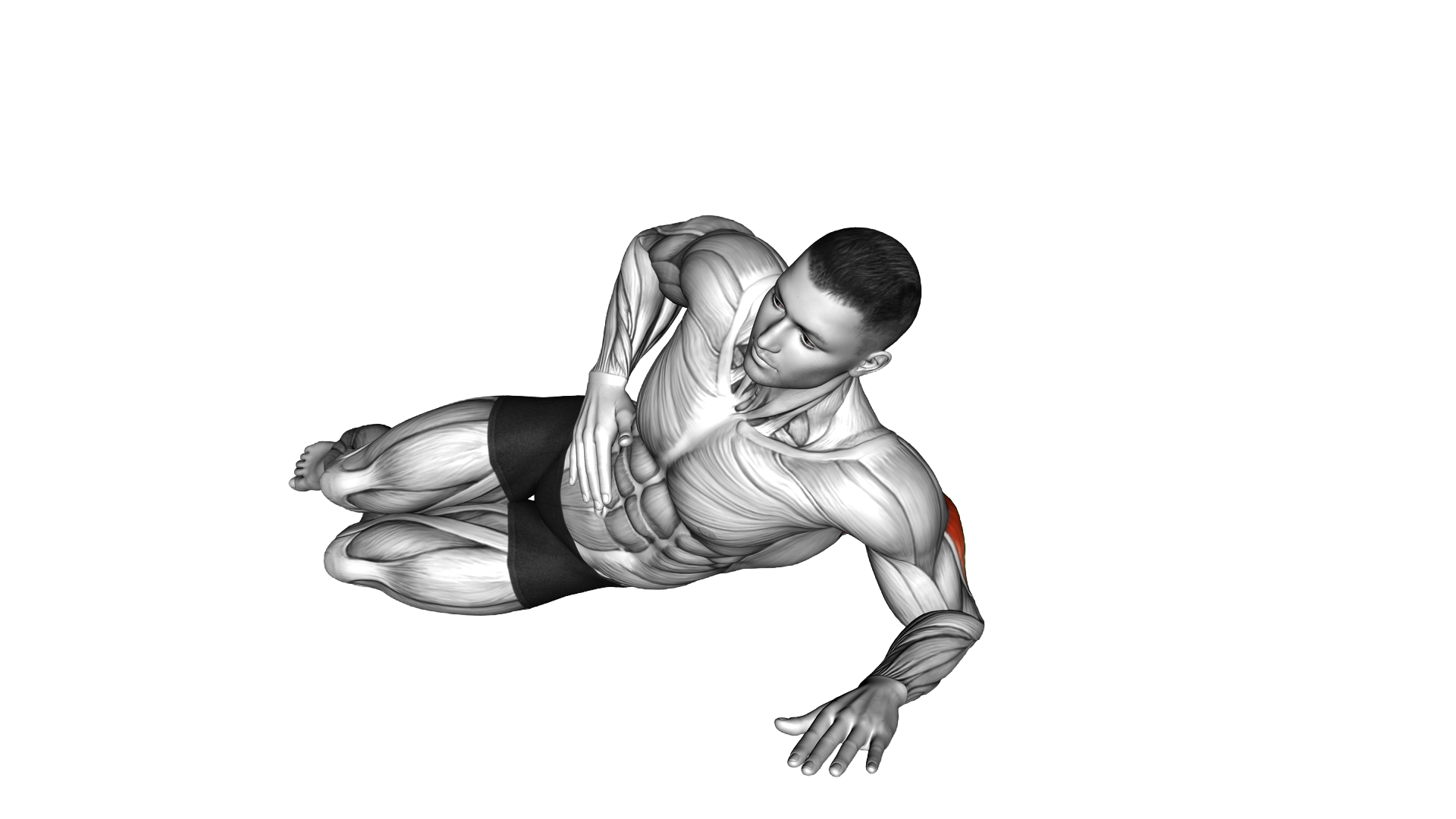 Side Lying Single Arm Triceps Push up exercise demonstration