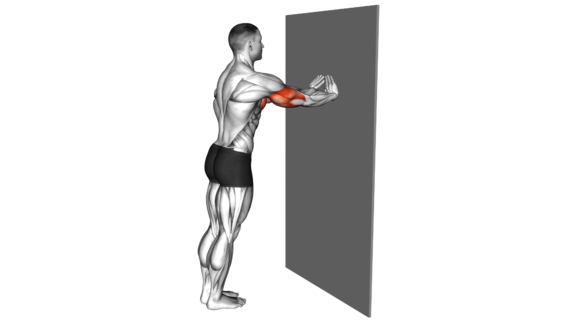 Diamond Push up against wall exercise demonstration