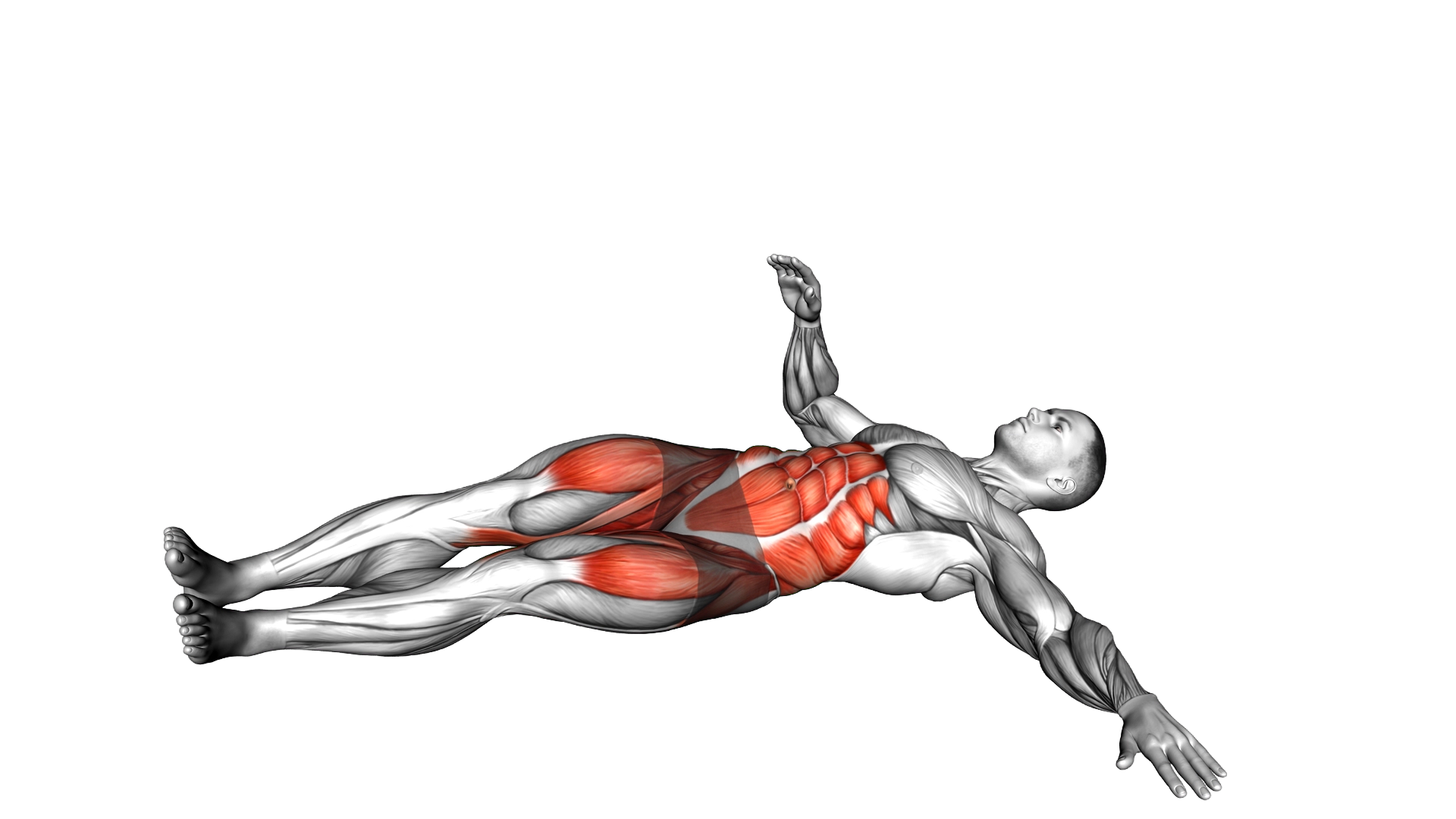 Bodyweight Lying Oblique V Up exercise demonstration