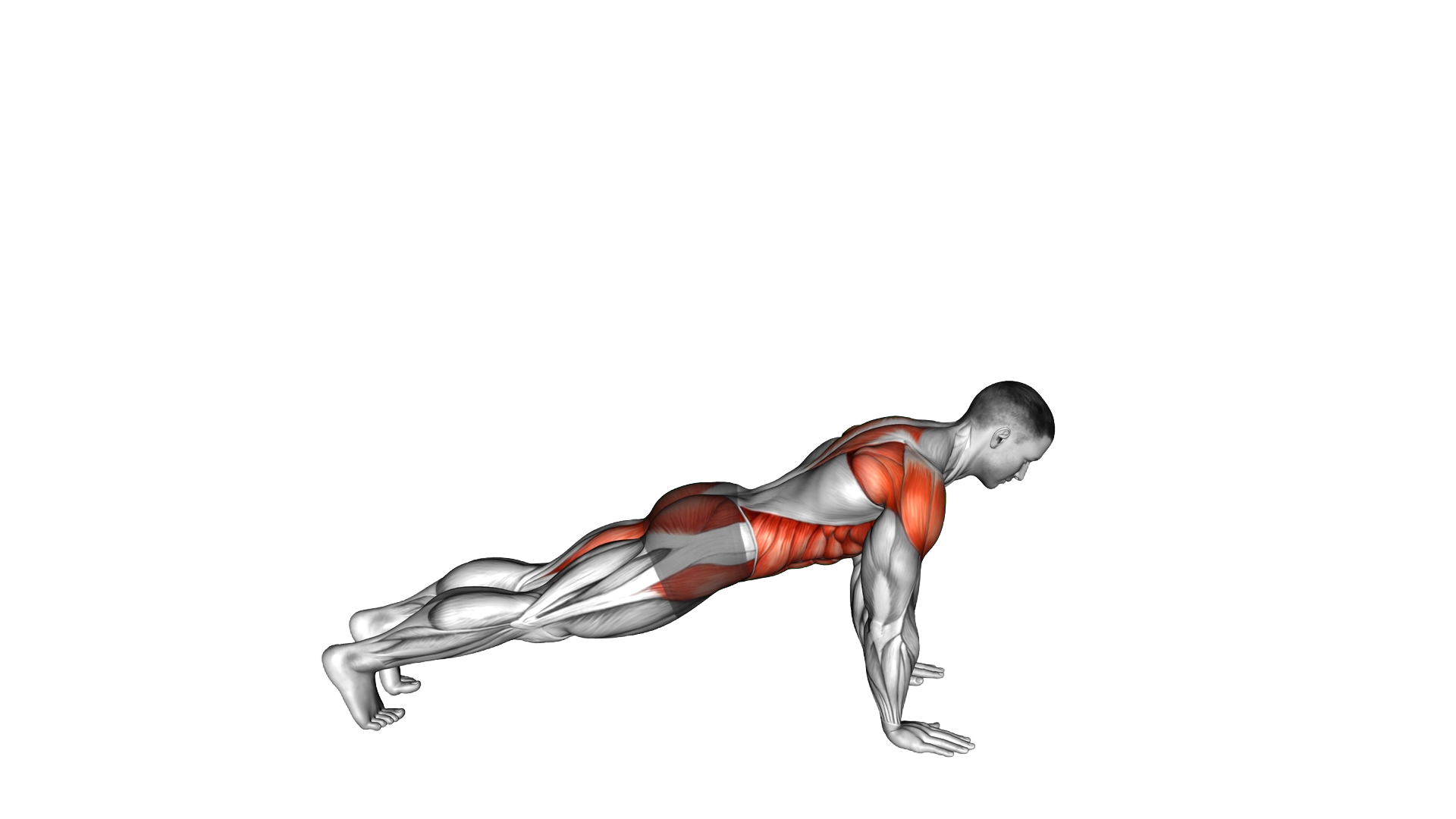 Front Plank to Side Plank exercise demonstration