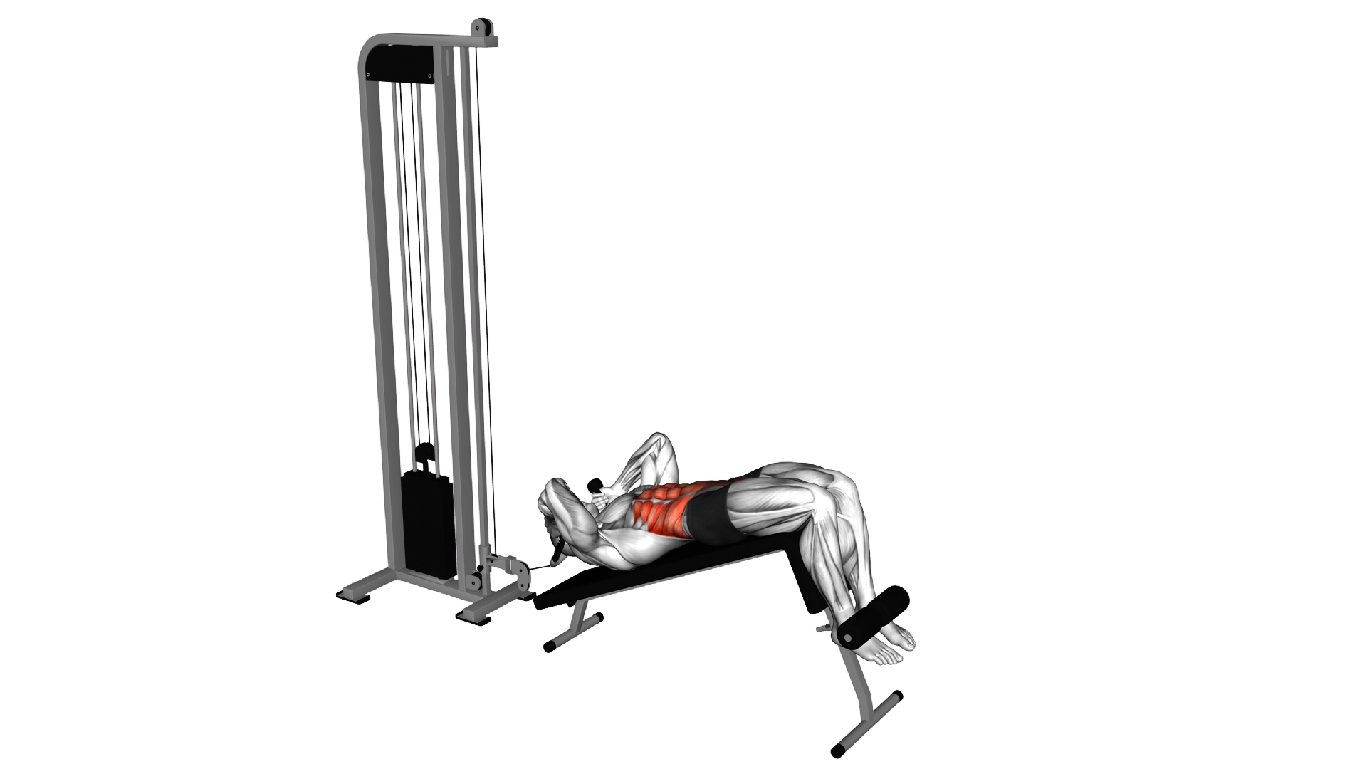 Cable Decline Crunch exercise demonstration
