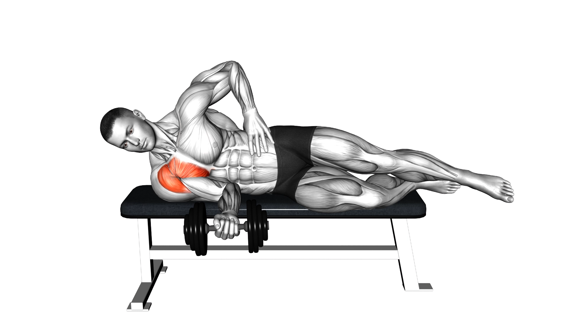 Dumbbell Side Lying Internal Rotation (on a bench) exercise demonstration