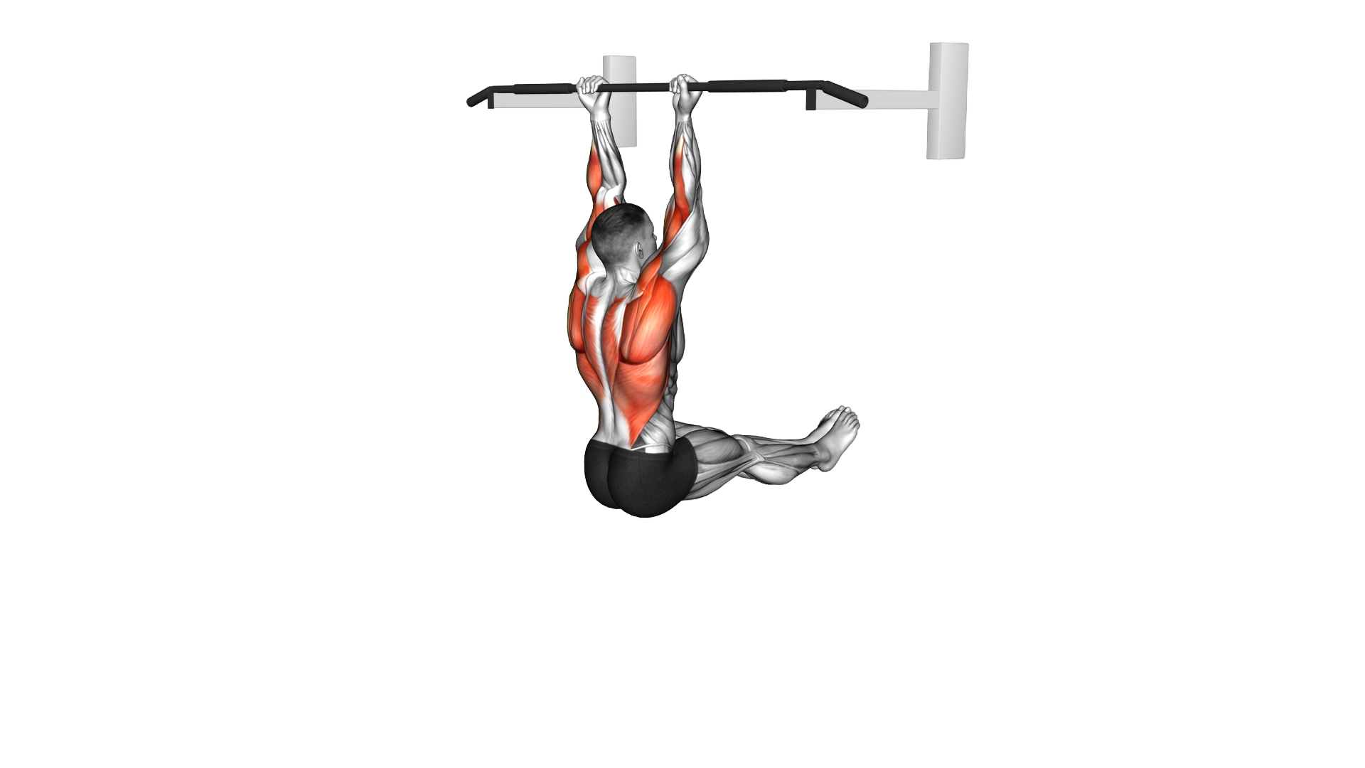 L Sit Chin up exercise demonstration