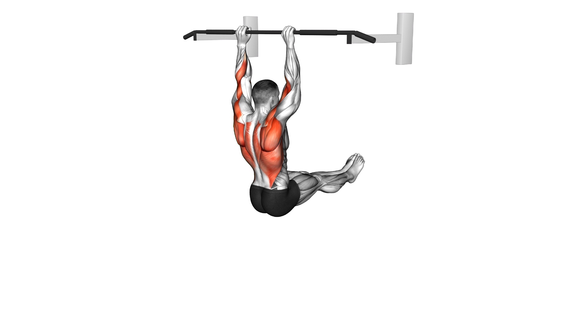 L Sit Pull up exercise thumbnail