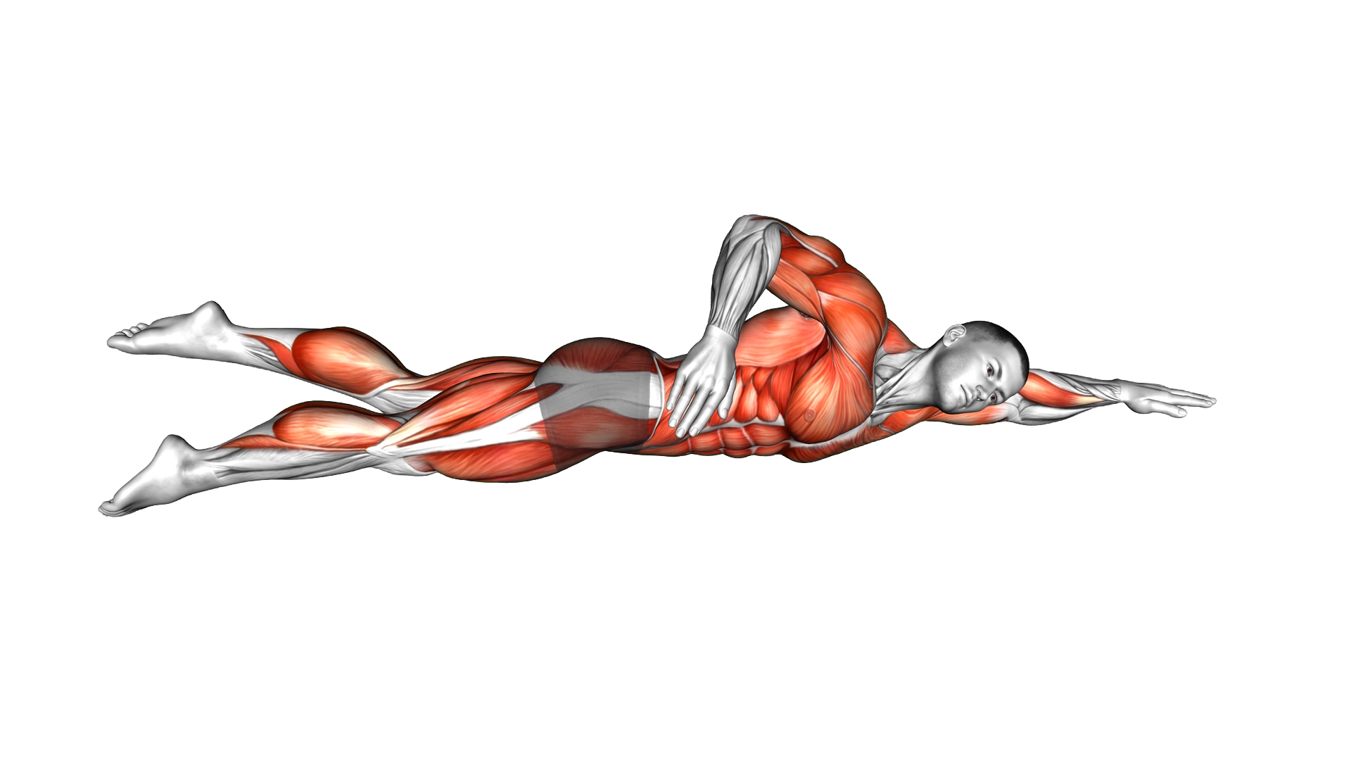 Swimming Crawl Style exercise demonstration