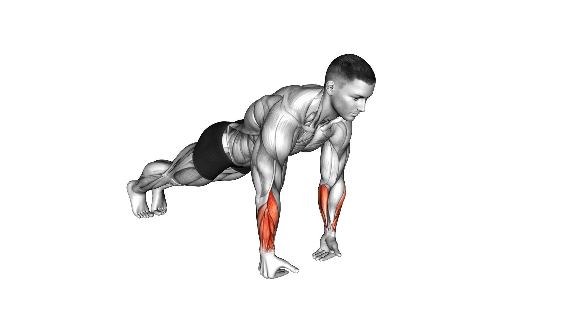 Wrist Push up exercise demonstration