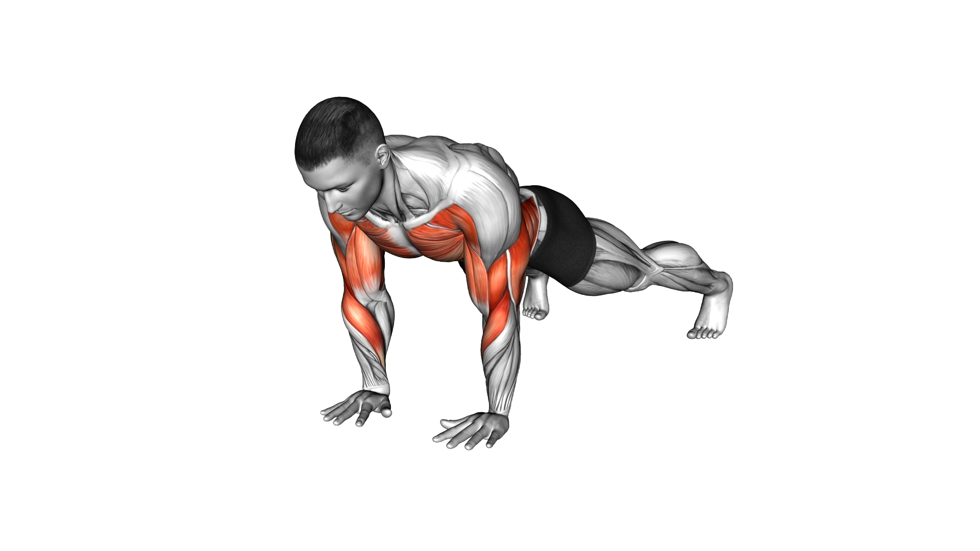 Lever Push up exercise demonstration
