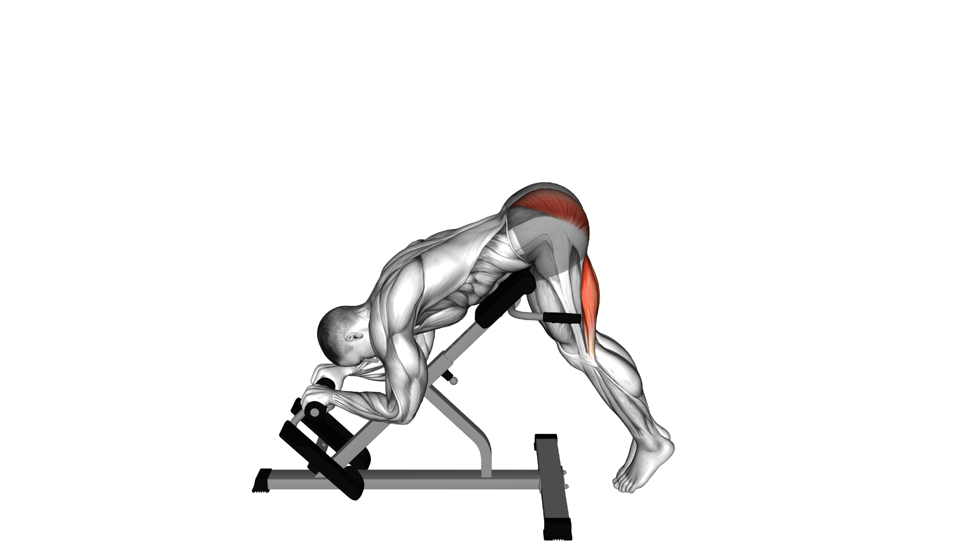 45 degrees Single Leg Reverse Hyperextension exercise demonstration