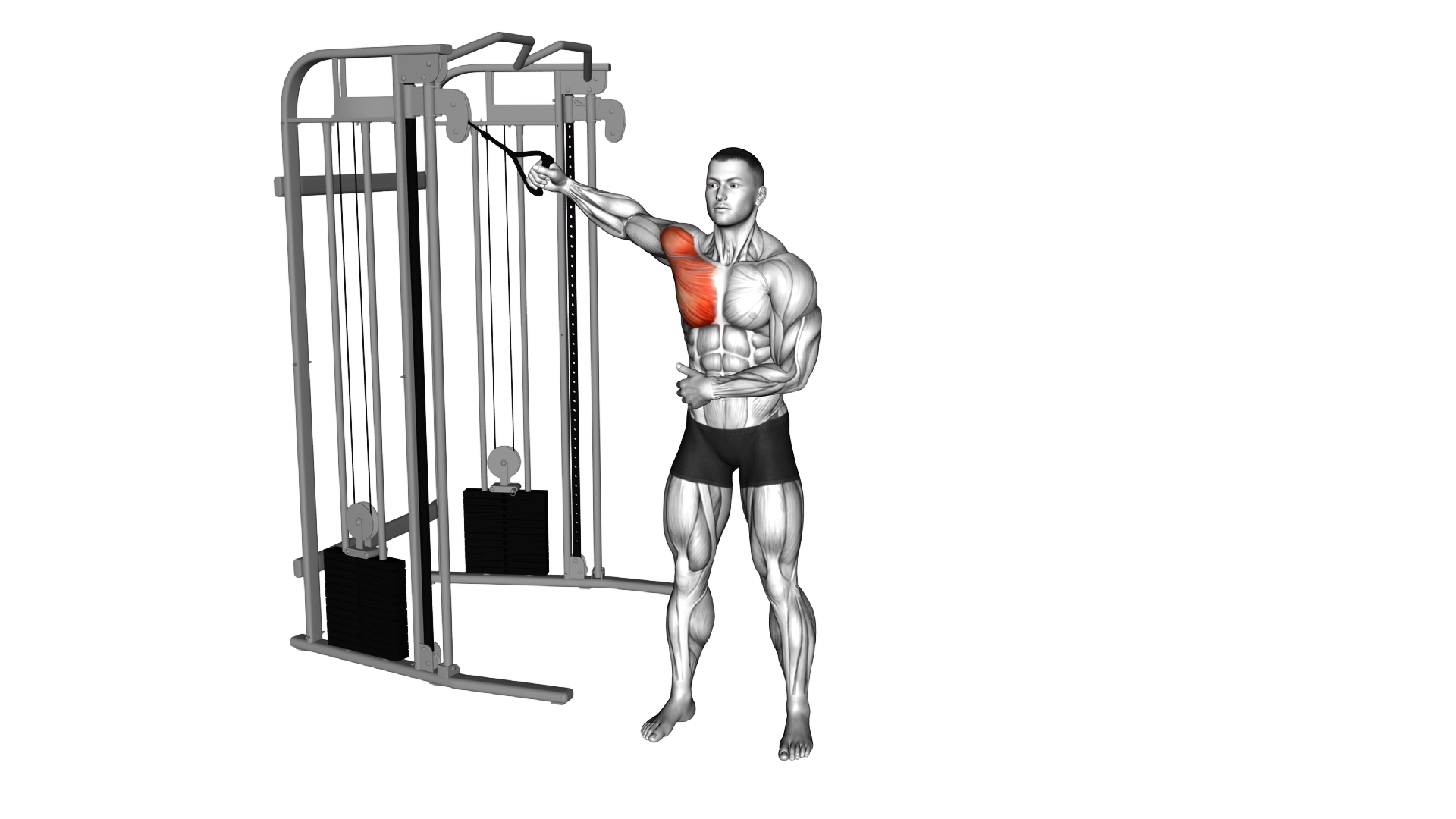 Cable Single Arm Crossover exercise demonstration