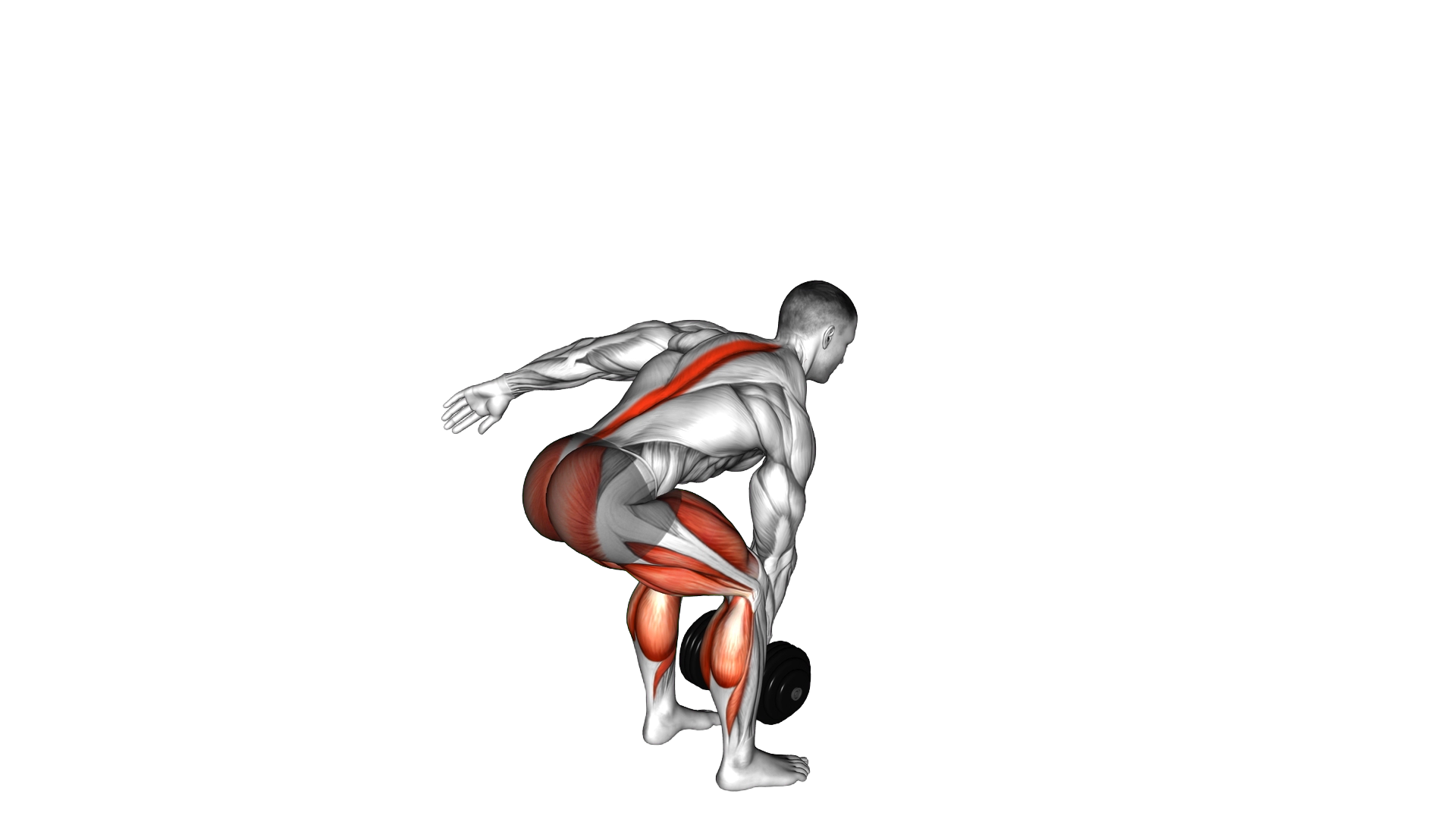 Dumbbell Single Arm Deadlift exercise demonstration