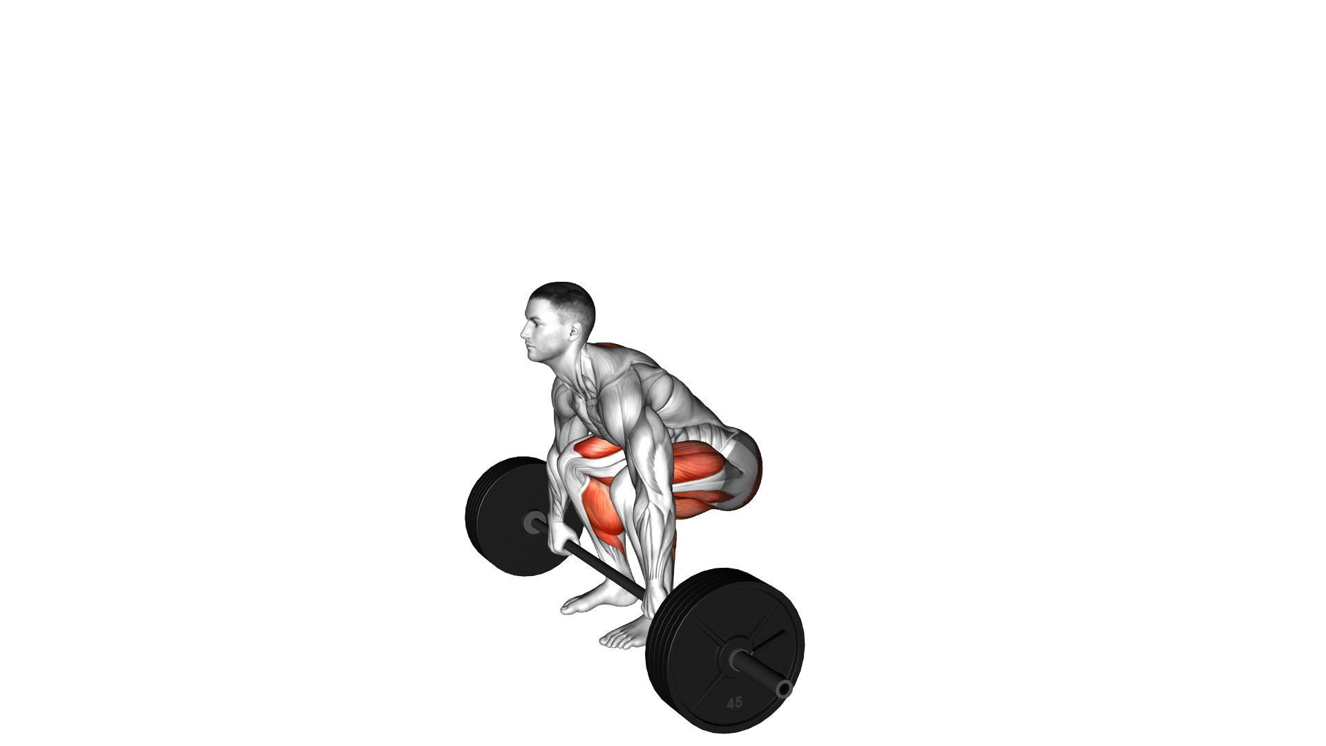 Axle Deadlift exercise demonstration