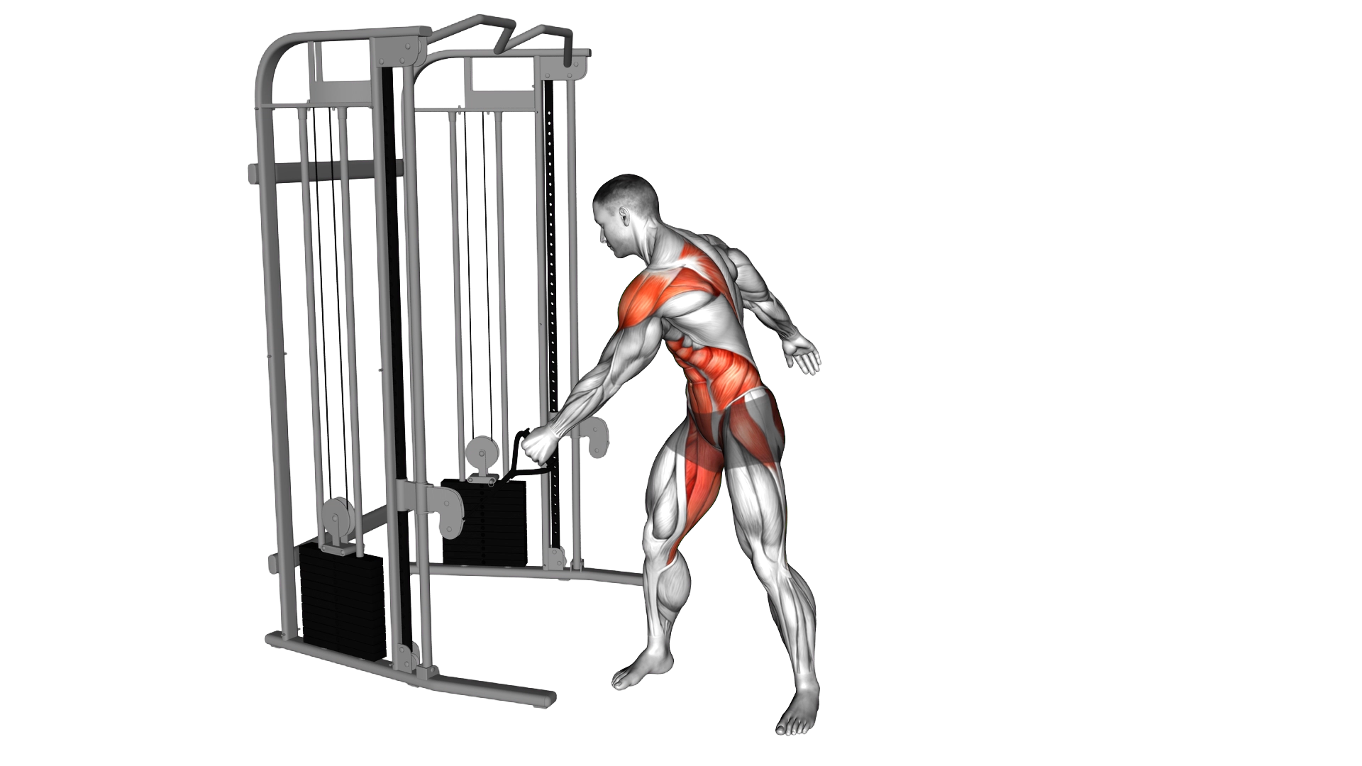 Cable Standing Backhand exercise demonstration