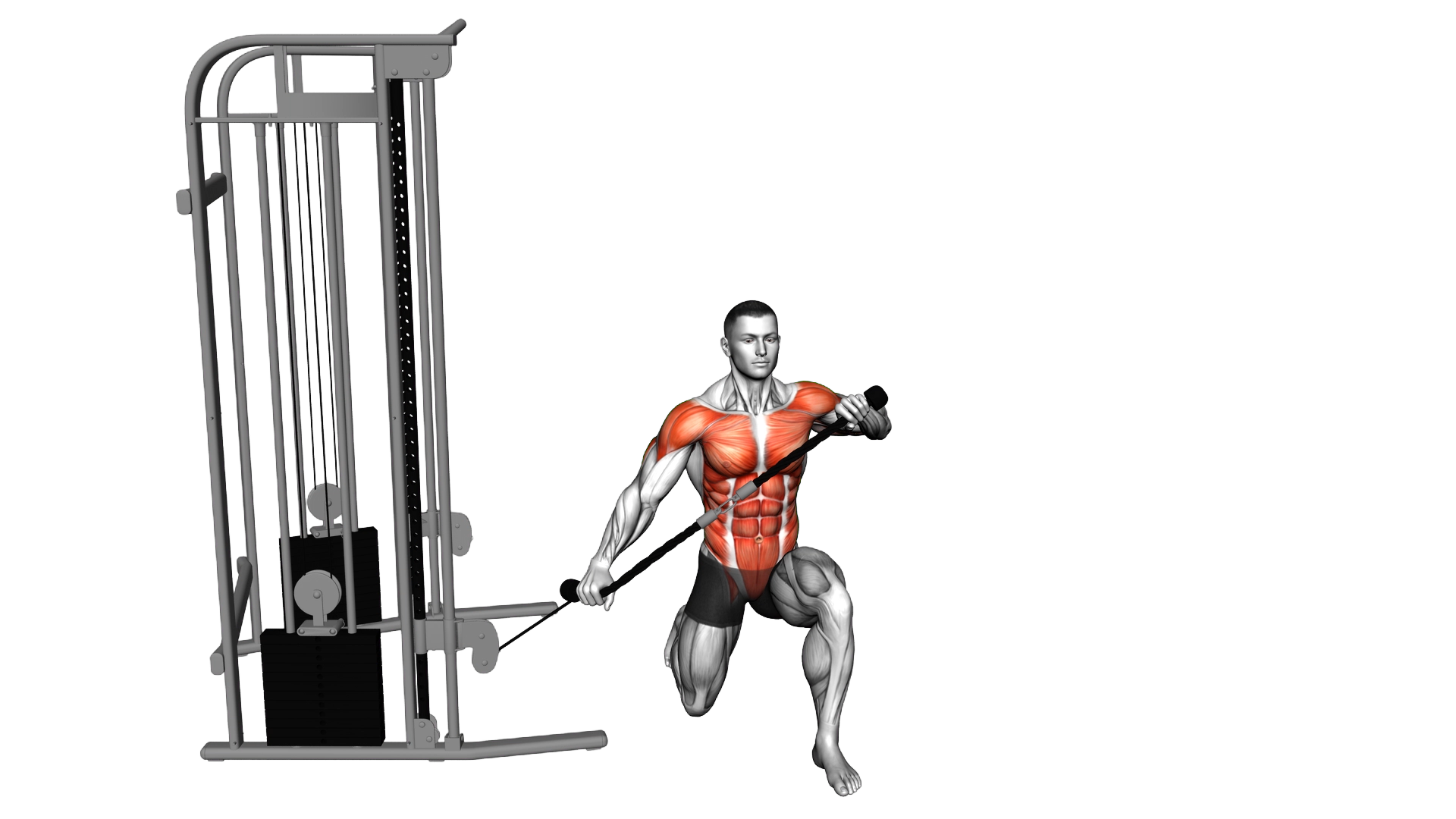 Cable Half Kneeling Lift exercise demonstration