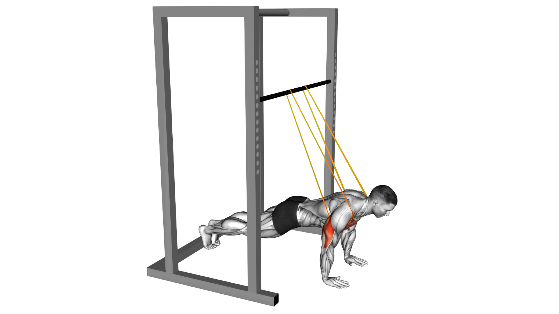Resistance Band Assisted Push up exercise demonstration