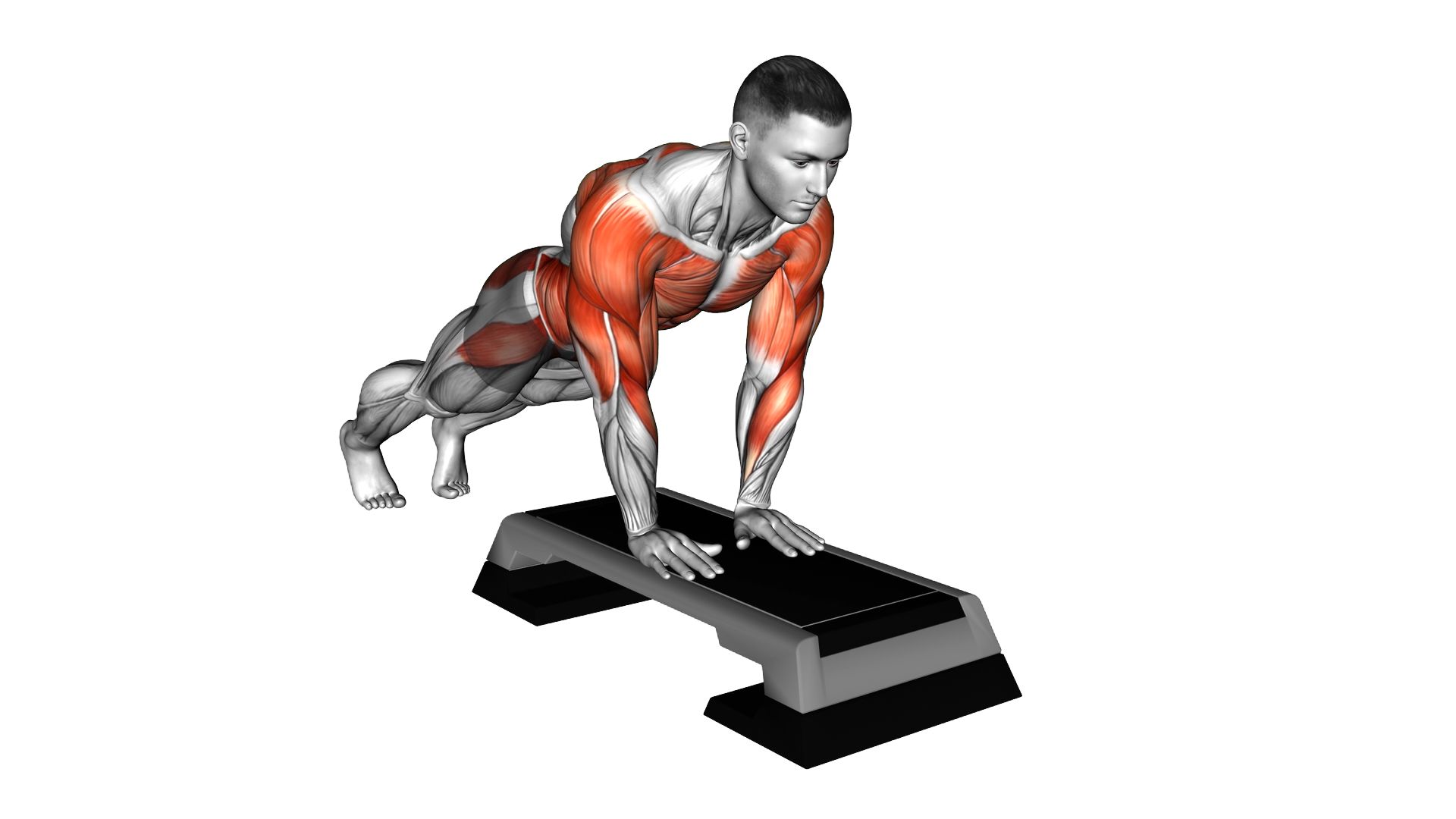 Plank Hand Switch exercise demonstration